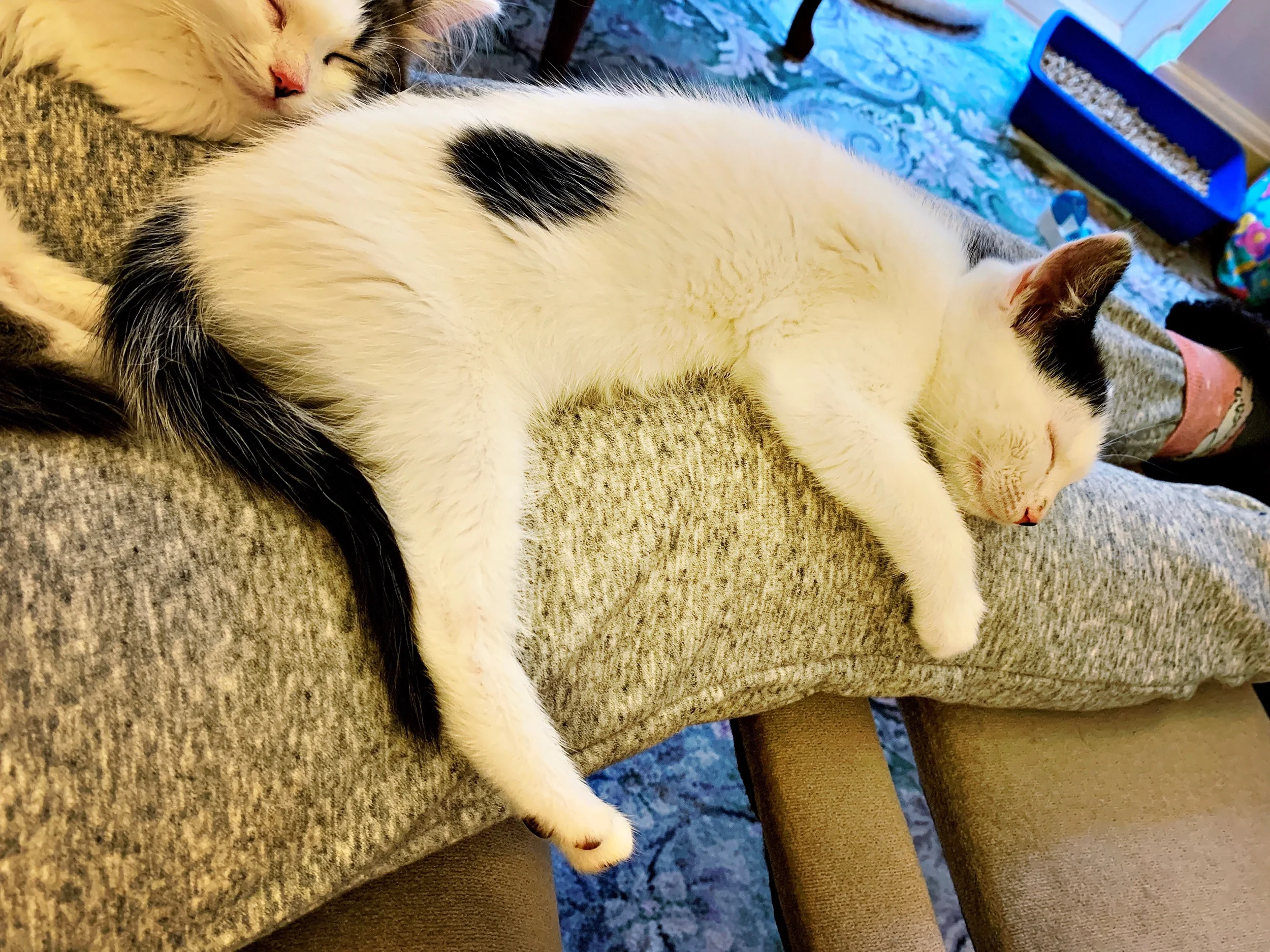 The 18th & 19th; Stuff has just been difficult.