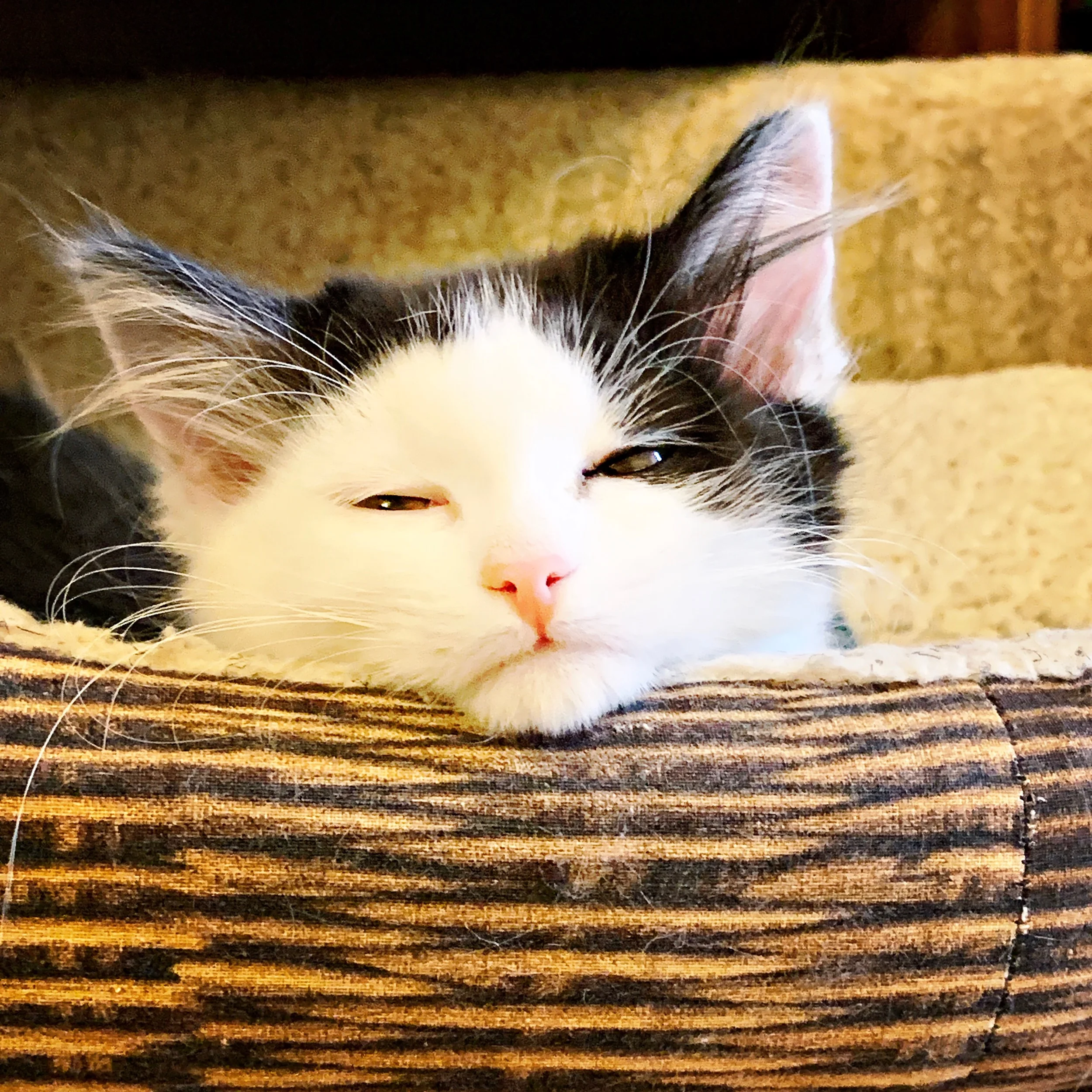 The 20th &amp; 21st; I will have a breakdown.