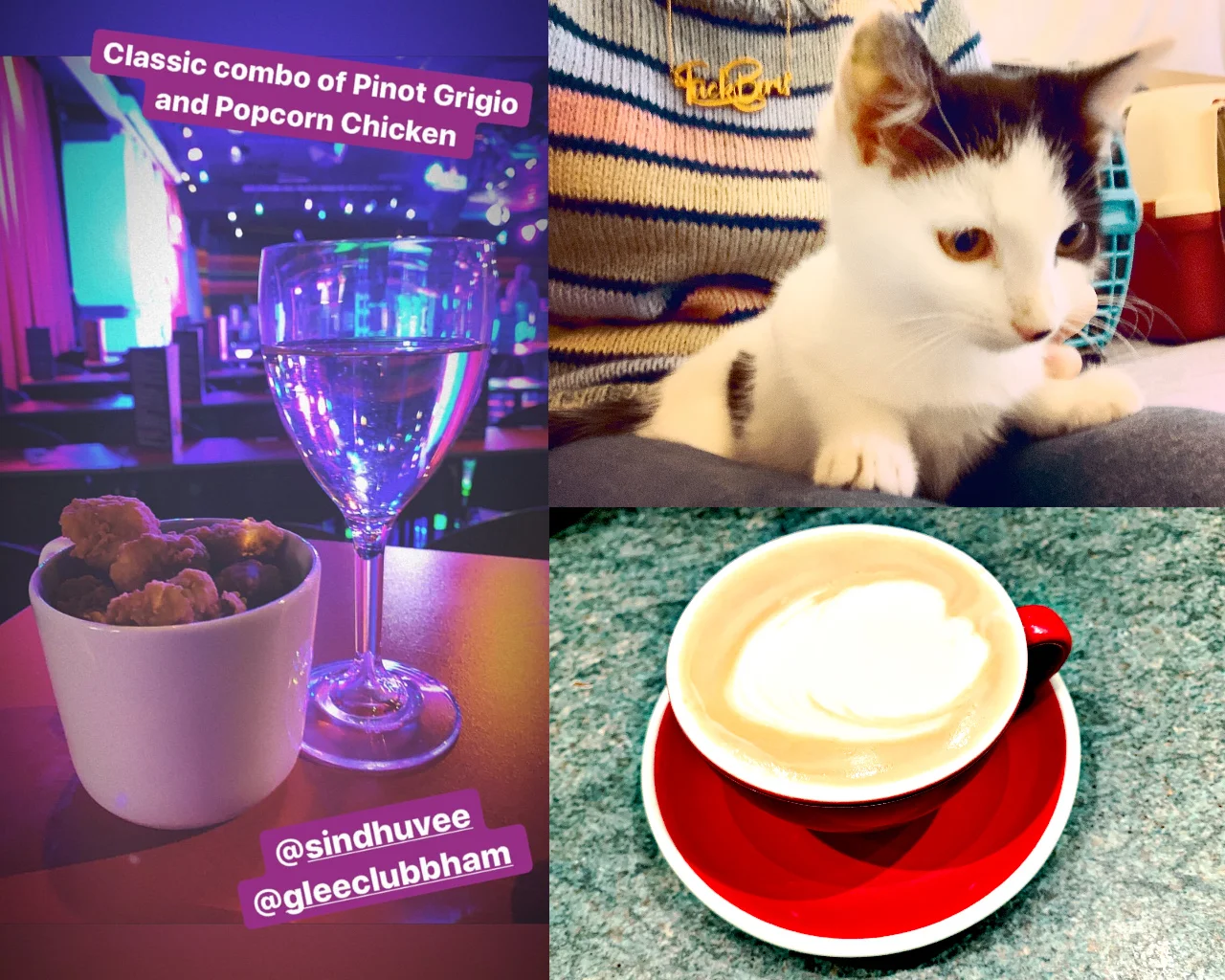 The 28th & 29th; FIVE HEADED SHARK.