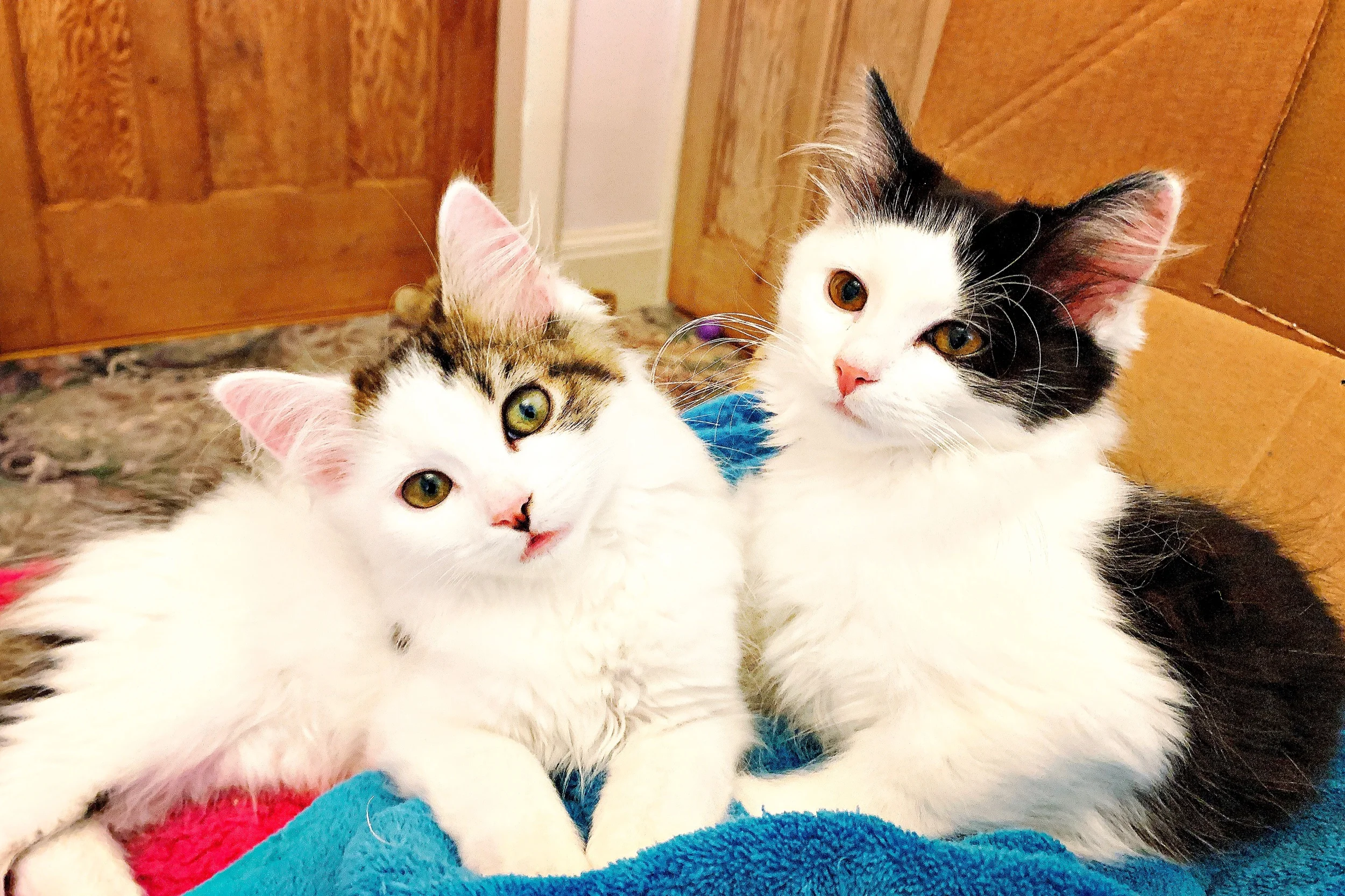 The 30th &amp; 31st; I smelled a smell.