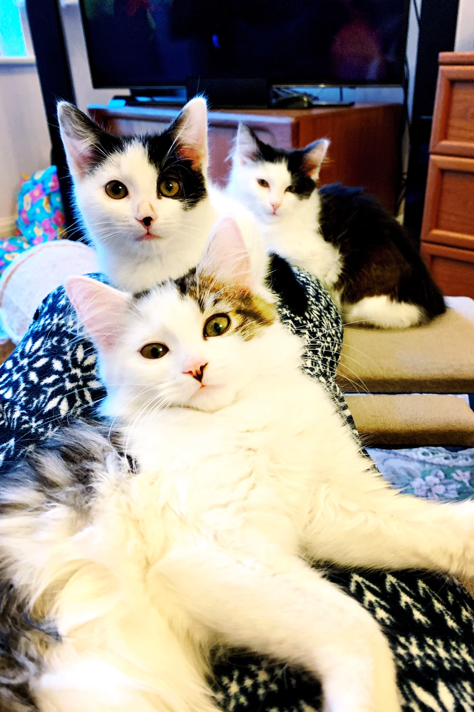 The 3rd & 4th; She died this morning.