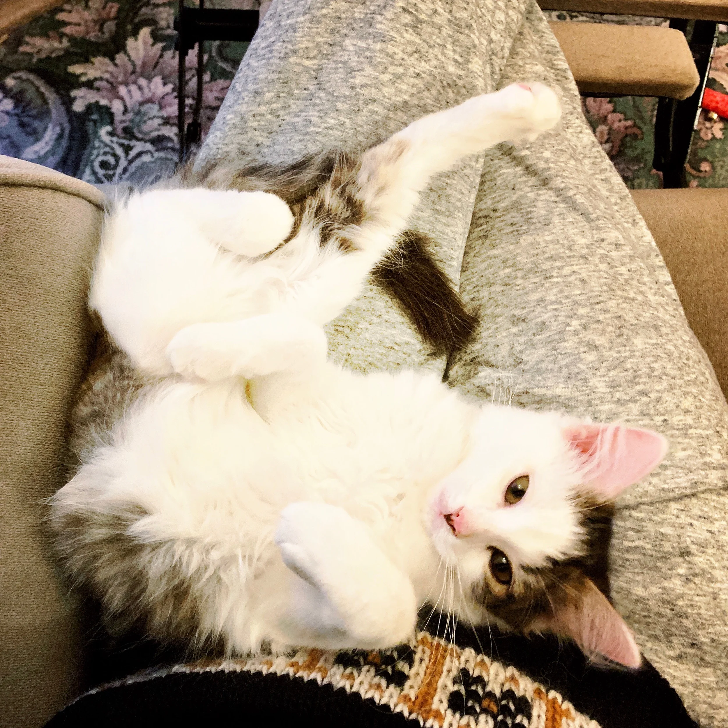 The 11th & 12th; Embrace the spirit.