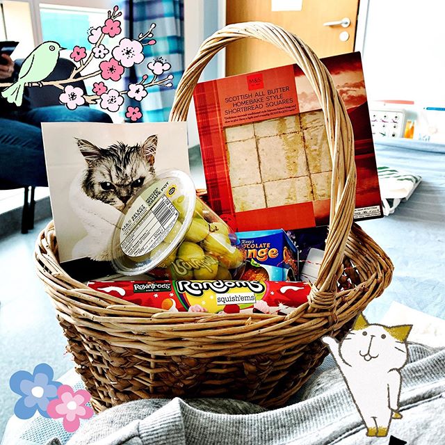 Basket of treats from Cats Protection pals! There is more stuff but I got excited and unpacked it all so imagine this but better.