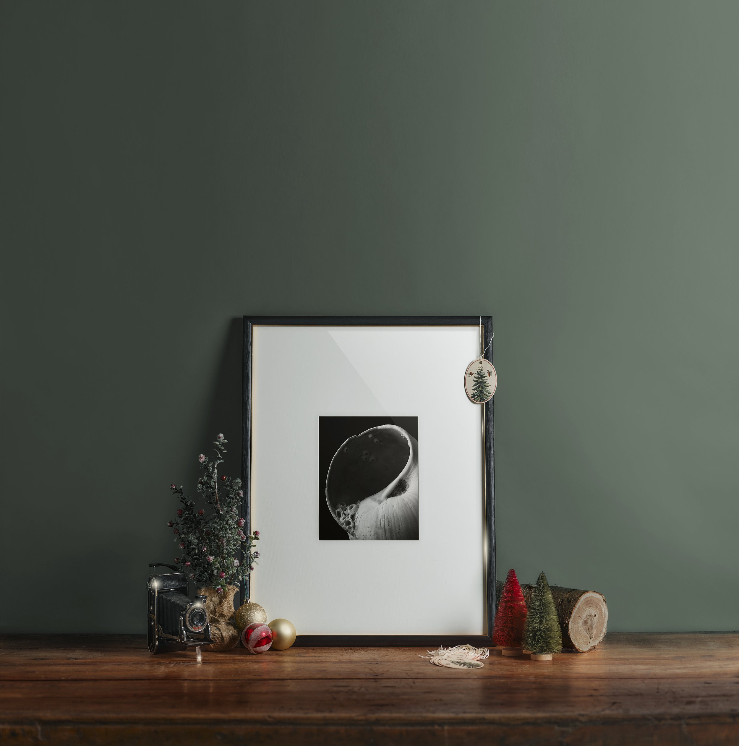 Holiday202451375_8x10_V-NantucketShell-LR.jpg