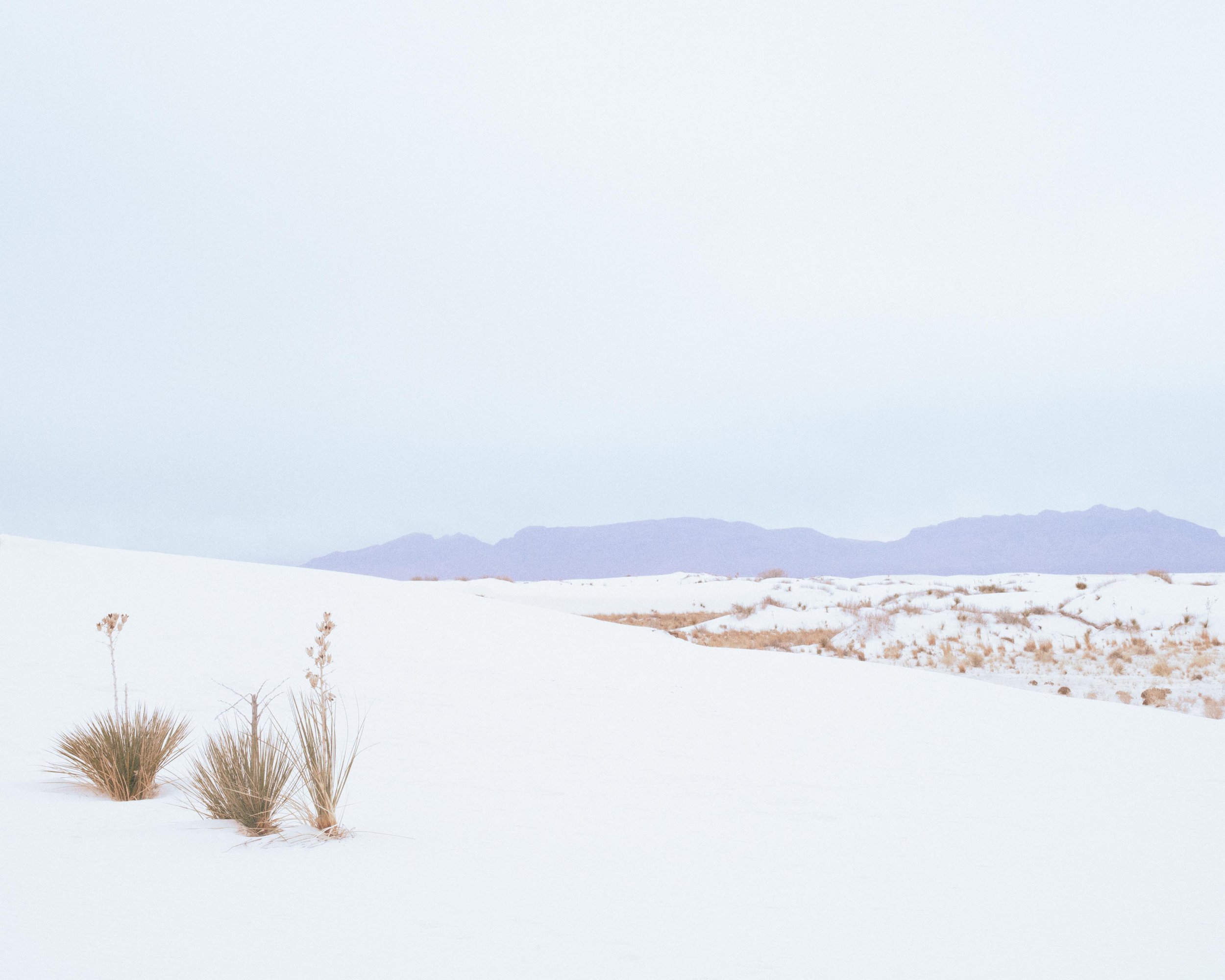 WhiteSands_NM-8x10.jpg