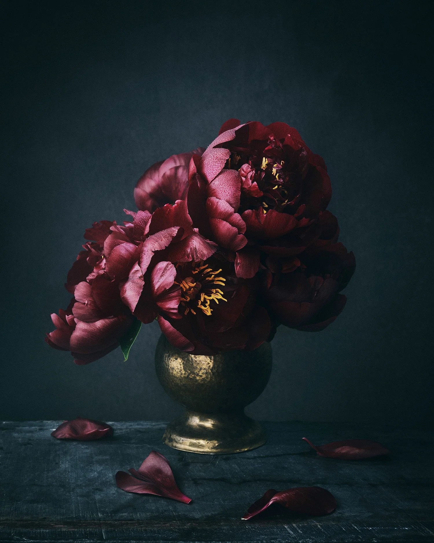 Peonies73951-LR.jpg