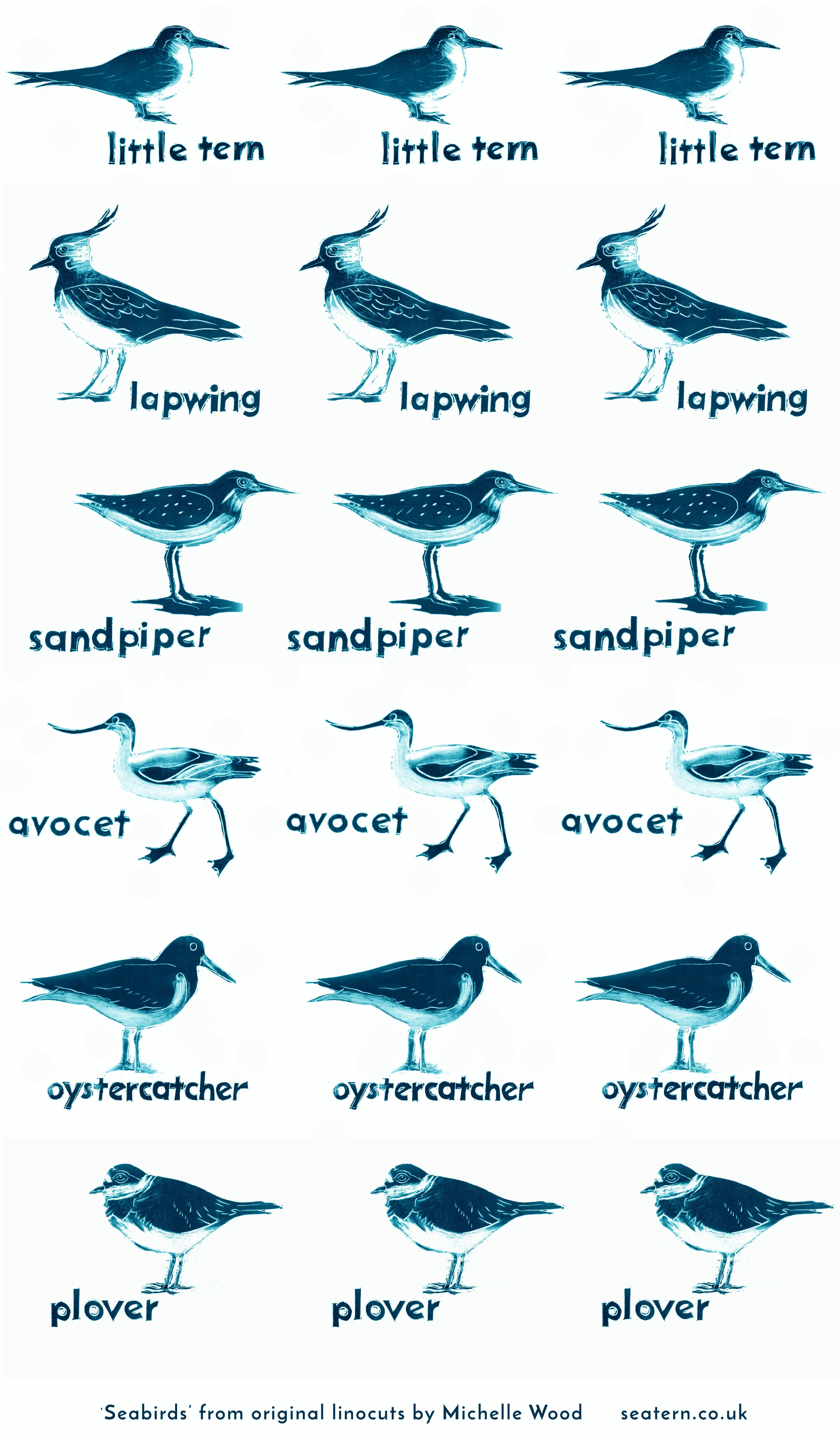 coastalbirds top copy.jpg