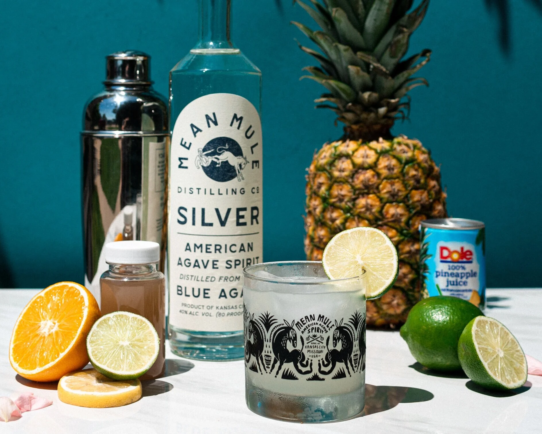 MeanMuleCocktailKits_Coppertone-7.jpg