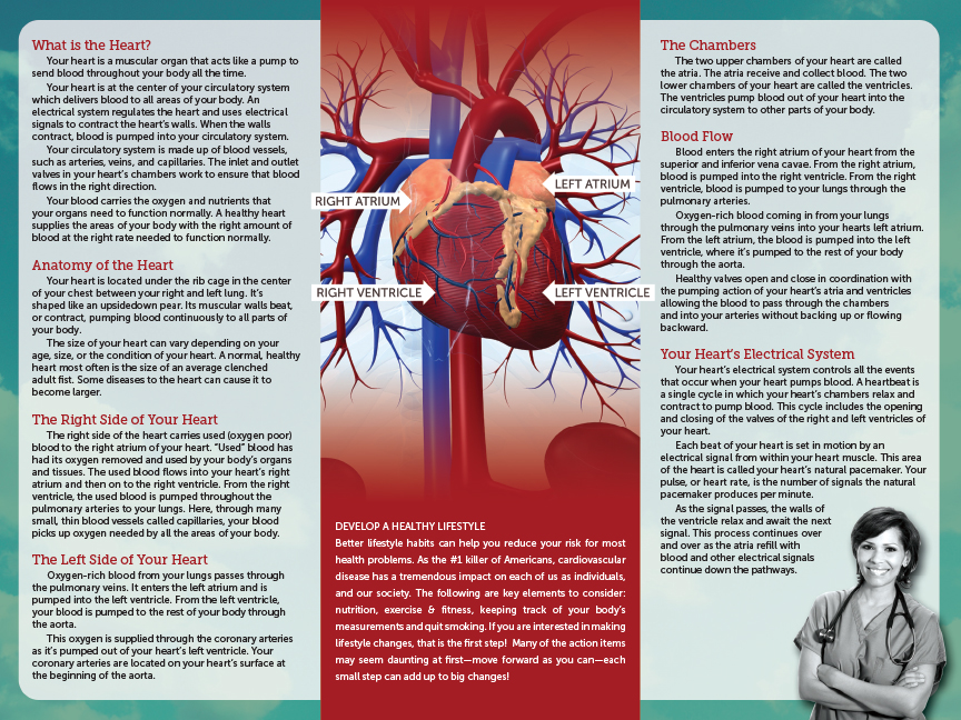 mcaban-pepinheart-brochure-inside.jpg