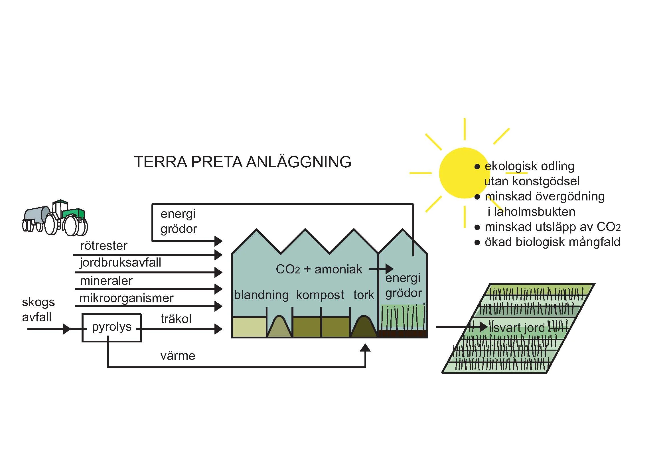 terrapreta.jpg