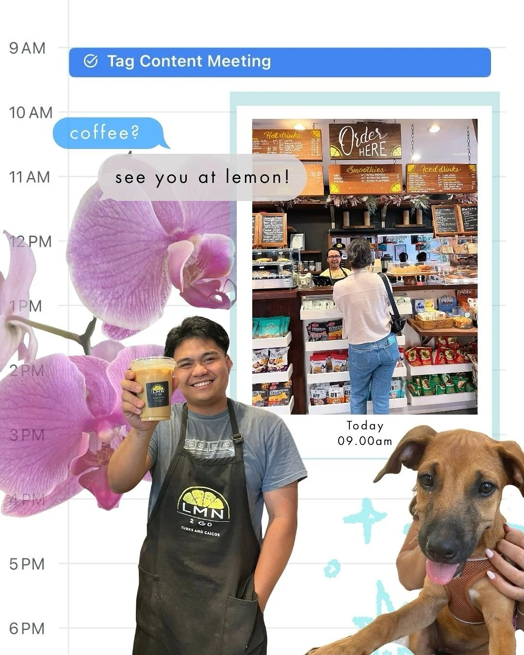 ✨A Day in the life with TAG means starting your mornings fueling up at @lemon2gocoffee ☕️💻 planning shoots, client proposals &amp; content magic with the team. 
✨We also headed to @hangfivesurfvilla_tci for a dreamy afternoon of getting interior pho