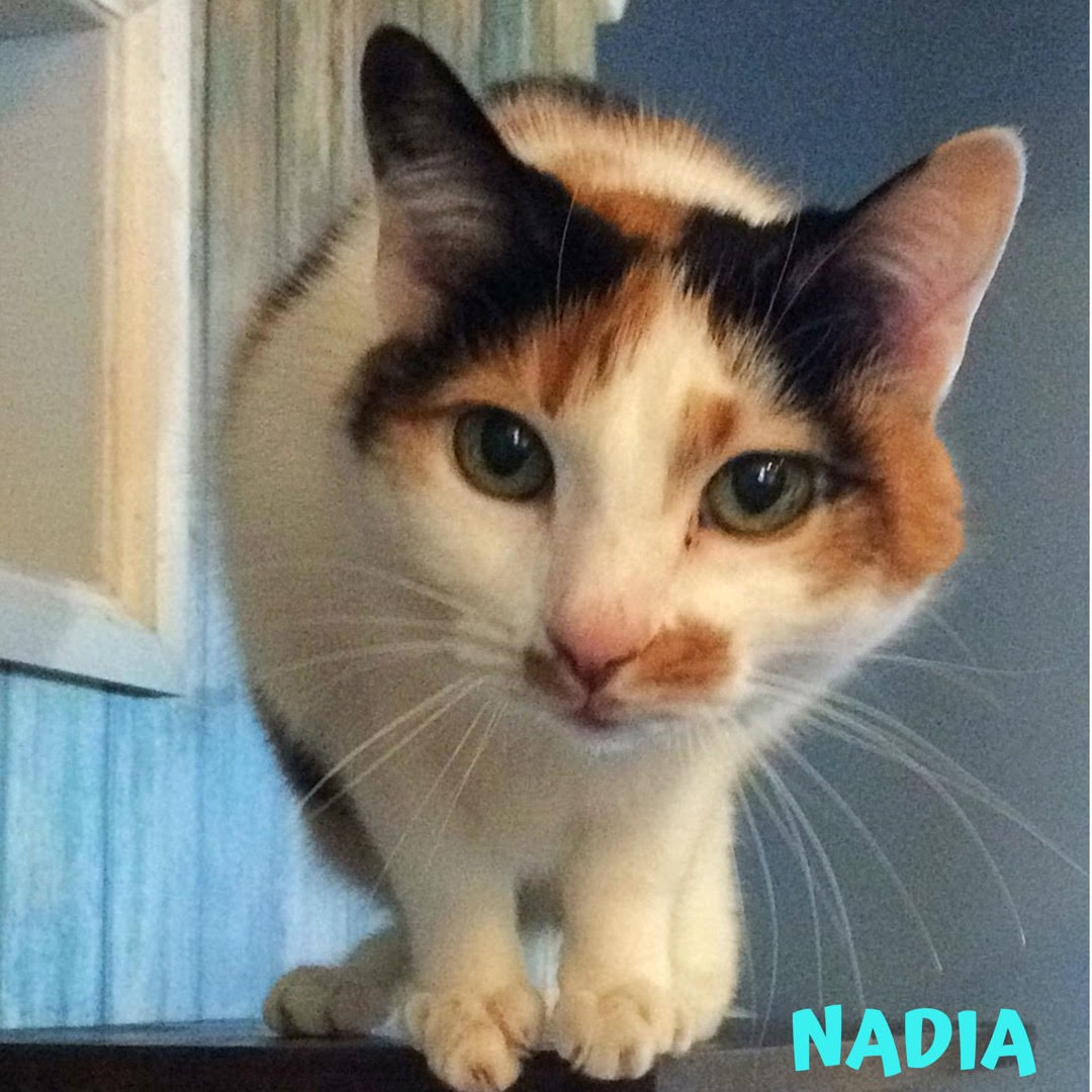 Nadia.jpg