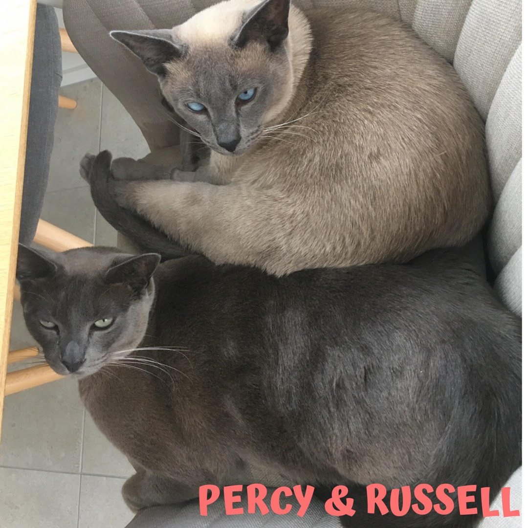 Percy & Russell.jpg