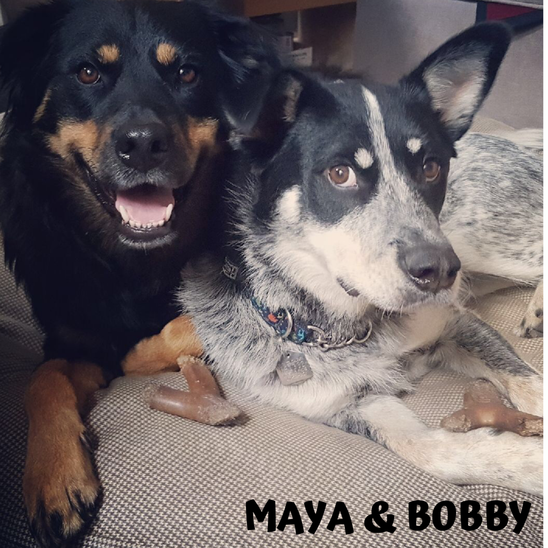 maya and bobby.PNG