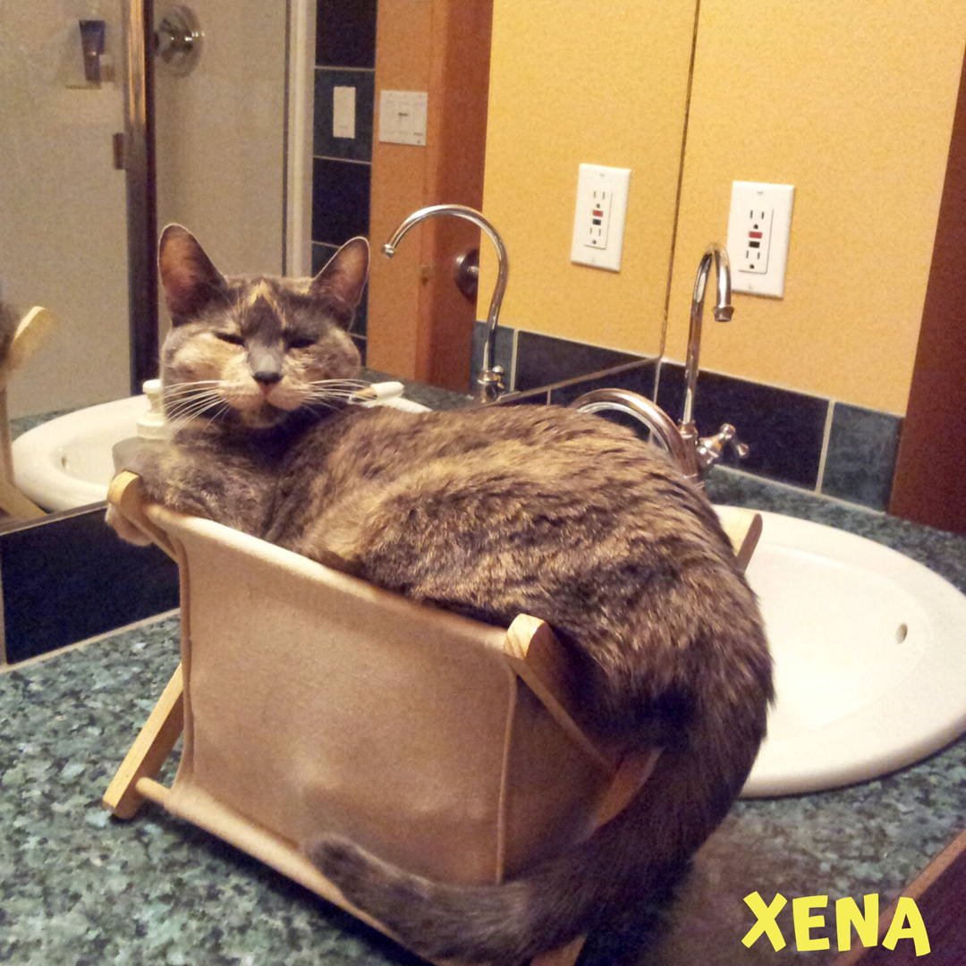 xena.PNG