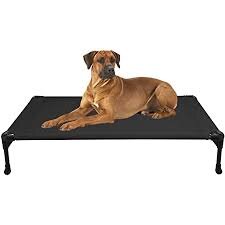 Portable Elevated Pet Cot 