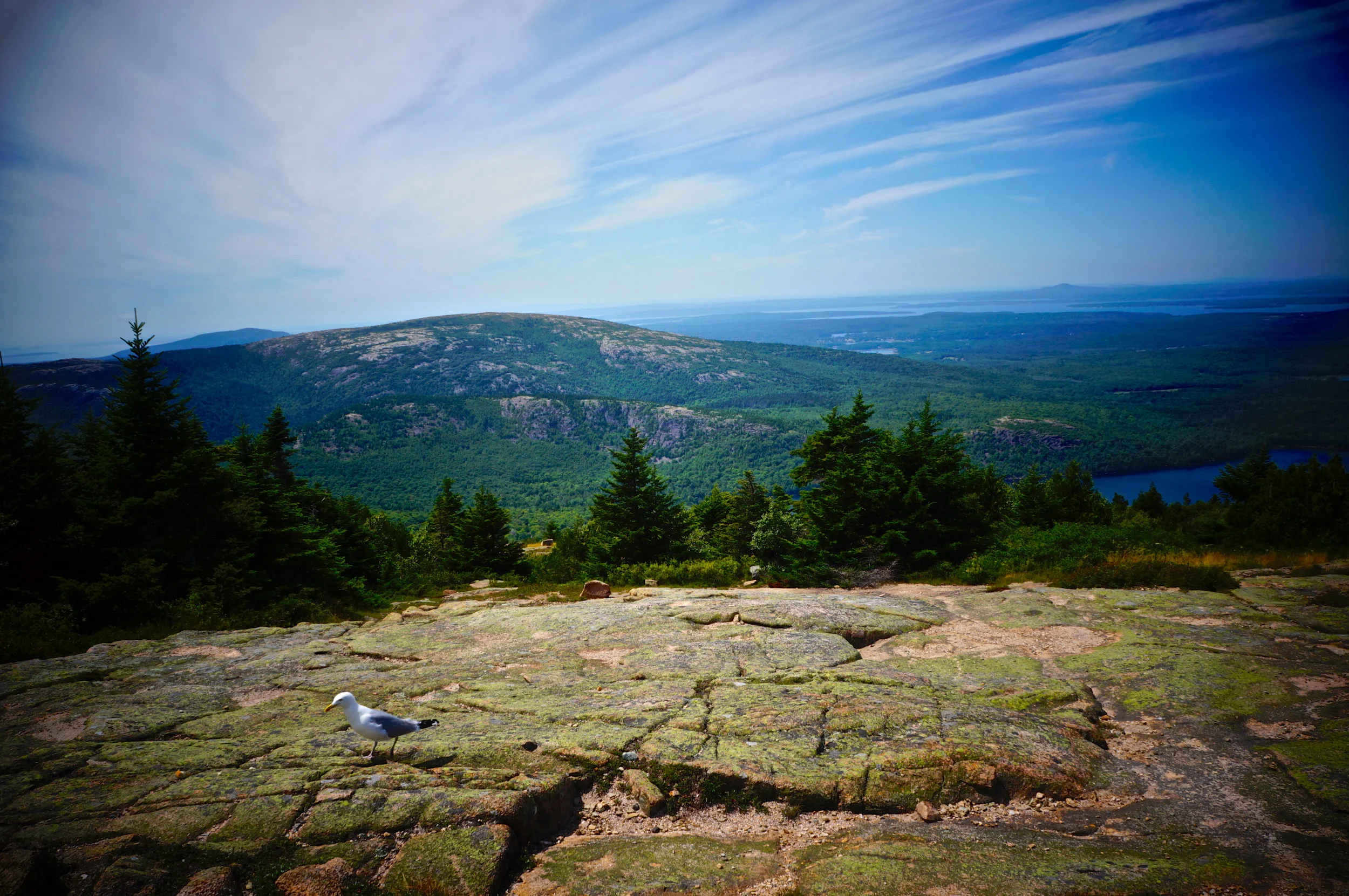 acadia-national-park-maine_8193970150_o.jpg