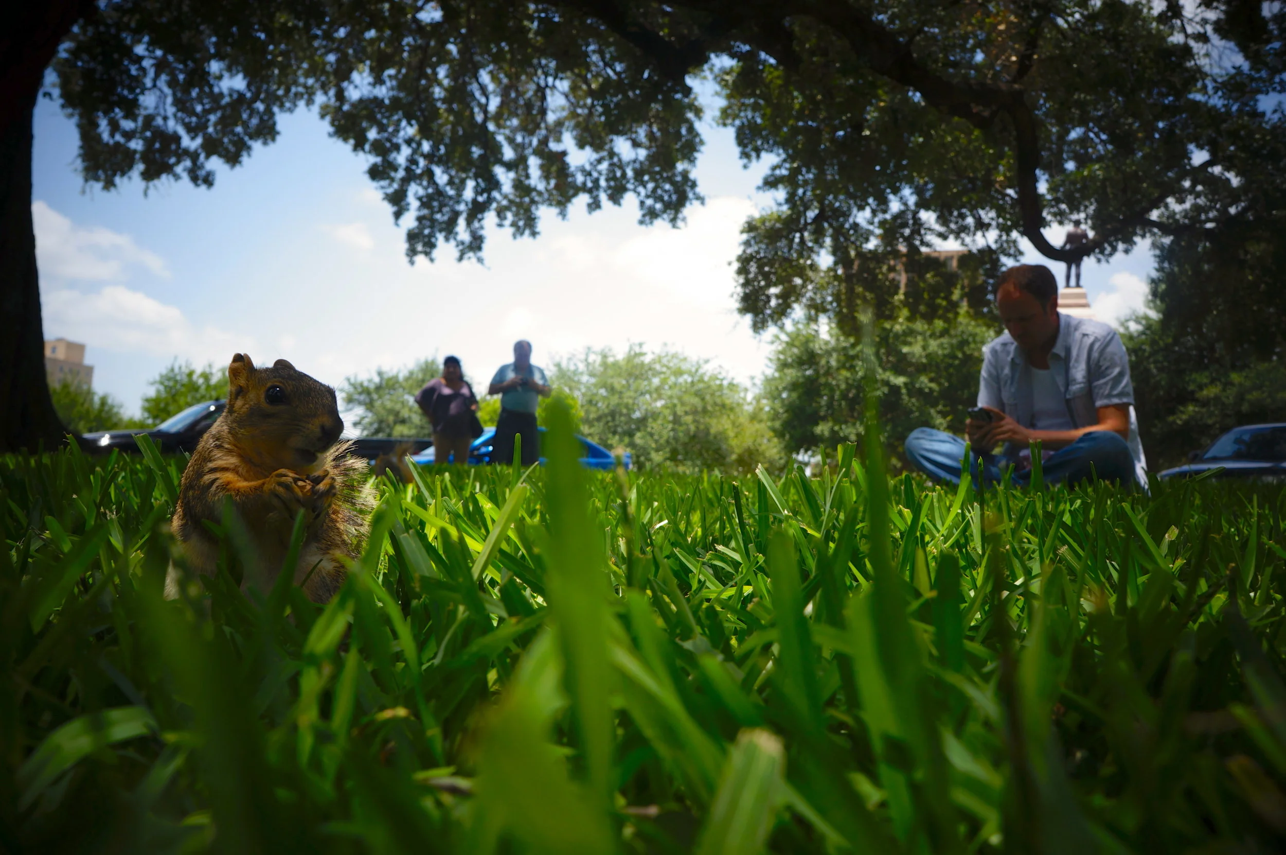 squirrel-friend-texas_8193945350_o.jpg