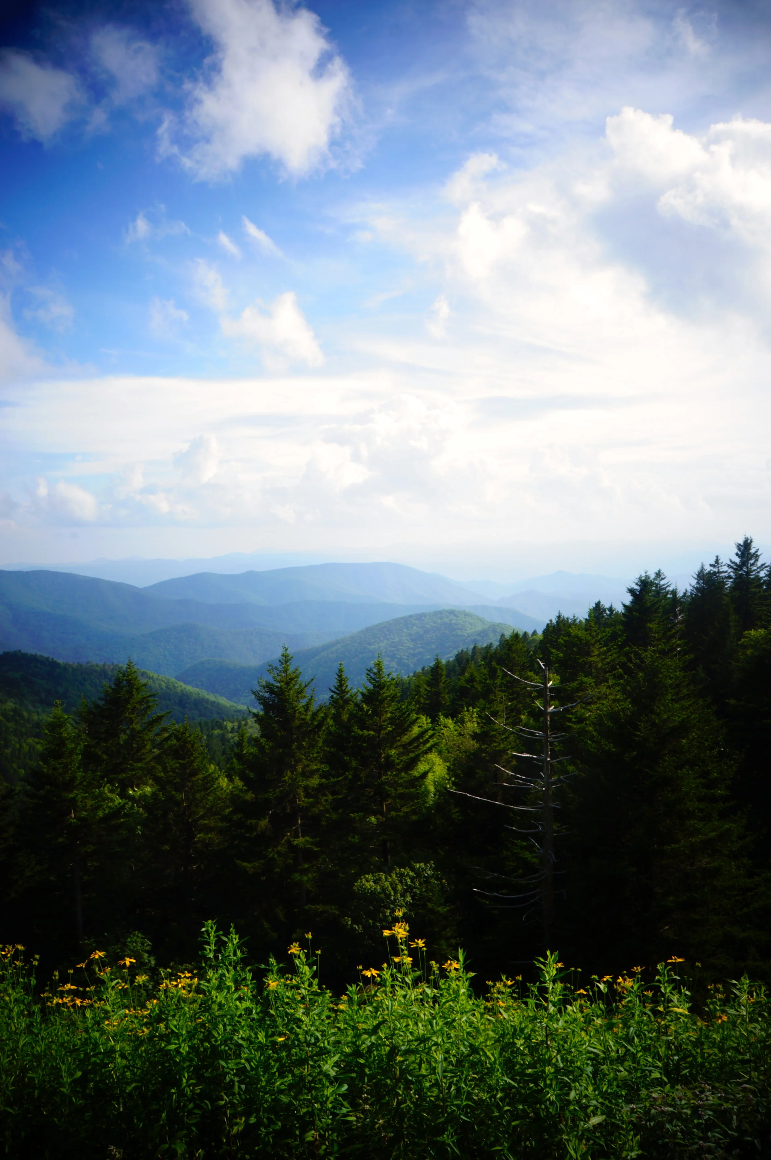 the-great-smoky-mountains-tennessee_8194000544_o.jpg