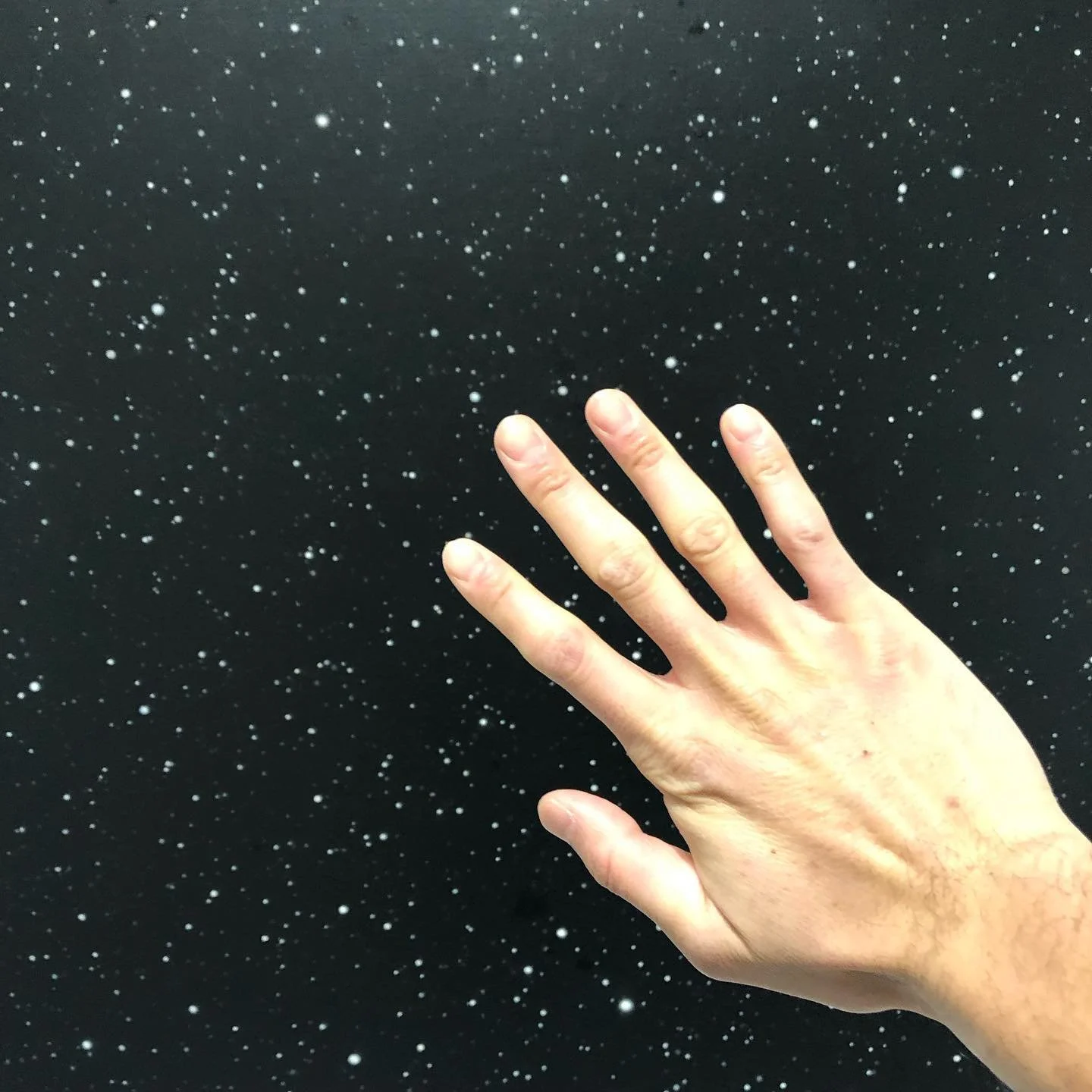 77156268_583463782429570_3498658595894671939_n_17920771582363369.jpg