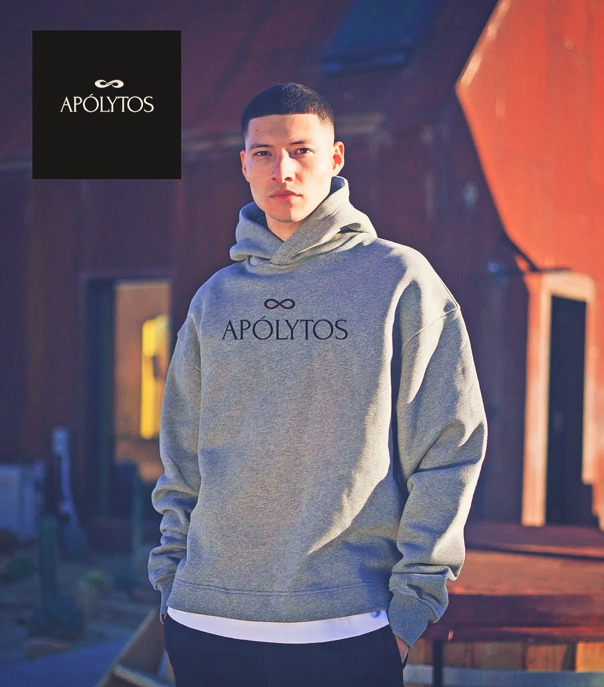 Apolytos Luxury Cropped Hoodie