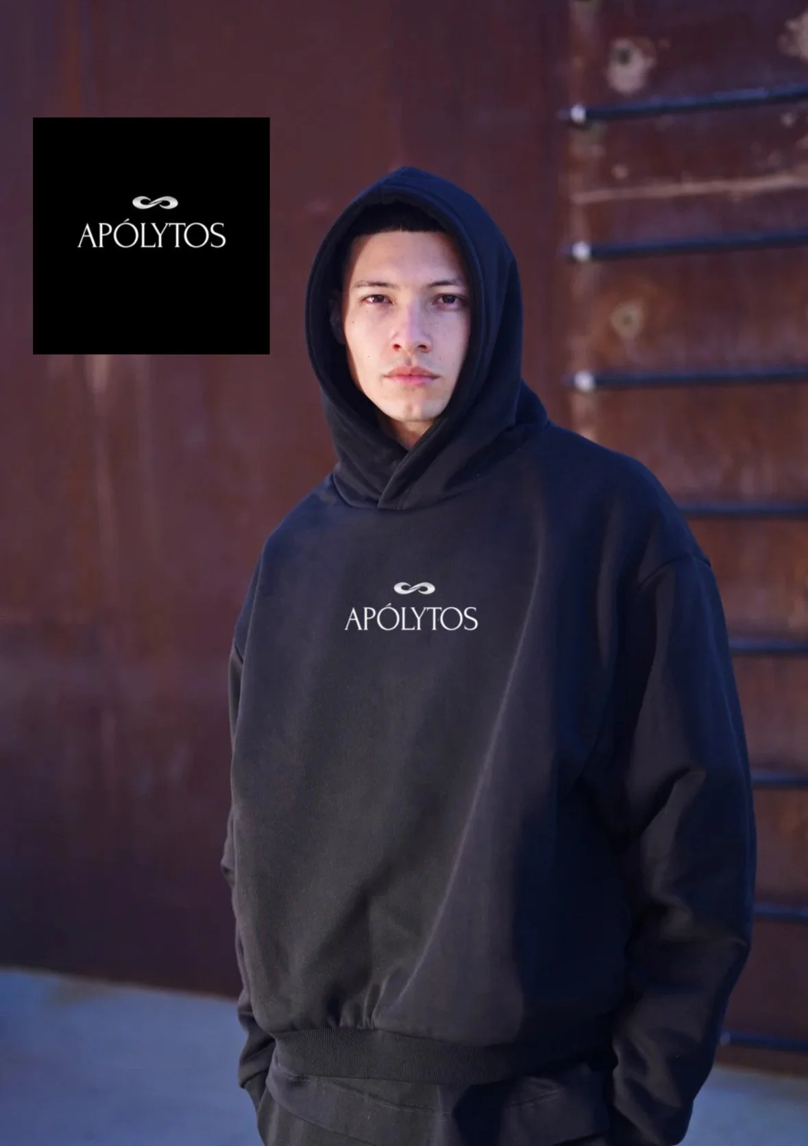 Apolytos Luxury Boxy Big Hoodie