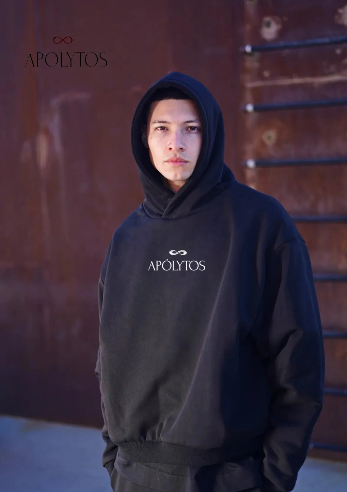 Apolytos Luxury Oversized Hoodie