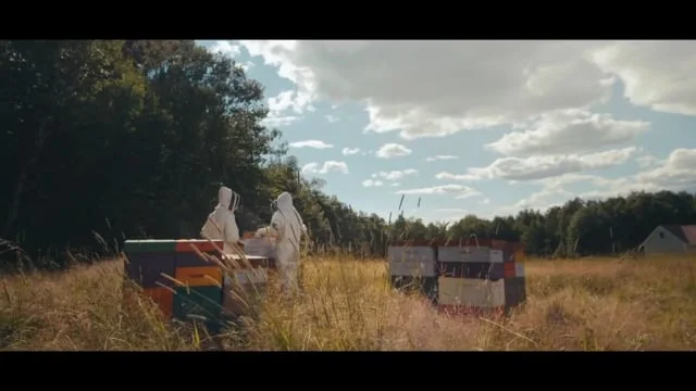 Hannaford Believe Savings :30