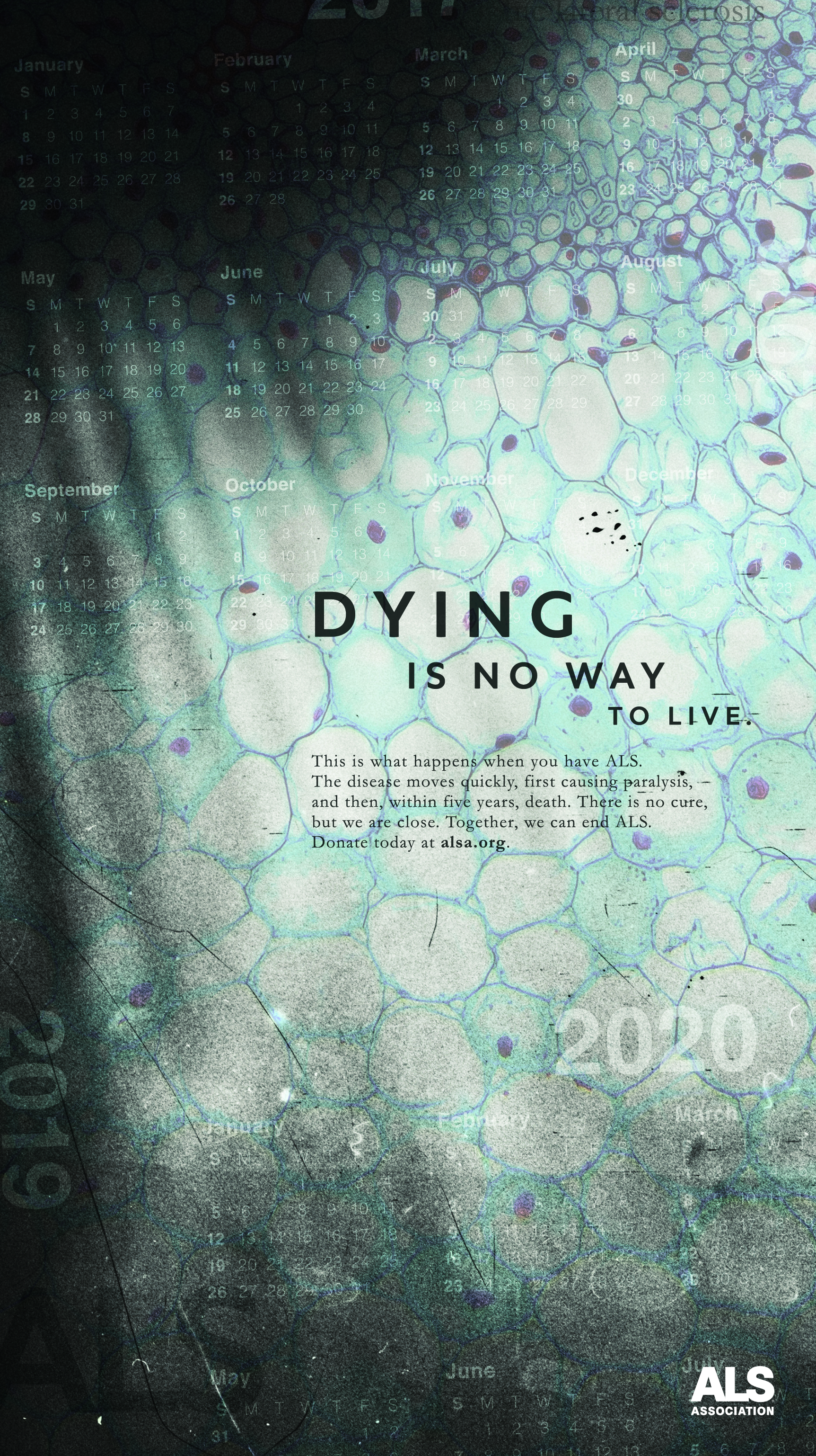 ALS_newspaper_half_pg_jpc_v502 cells_dying copy 4.jpg