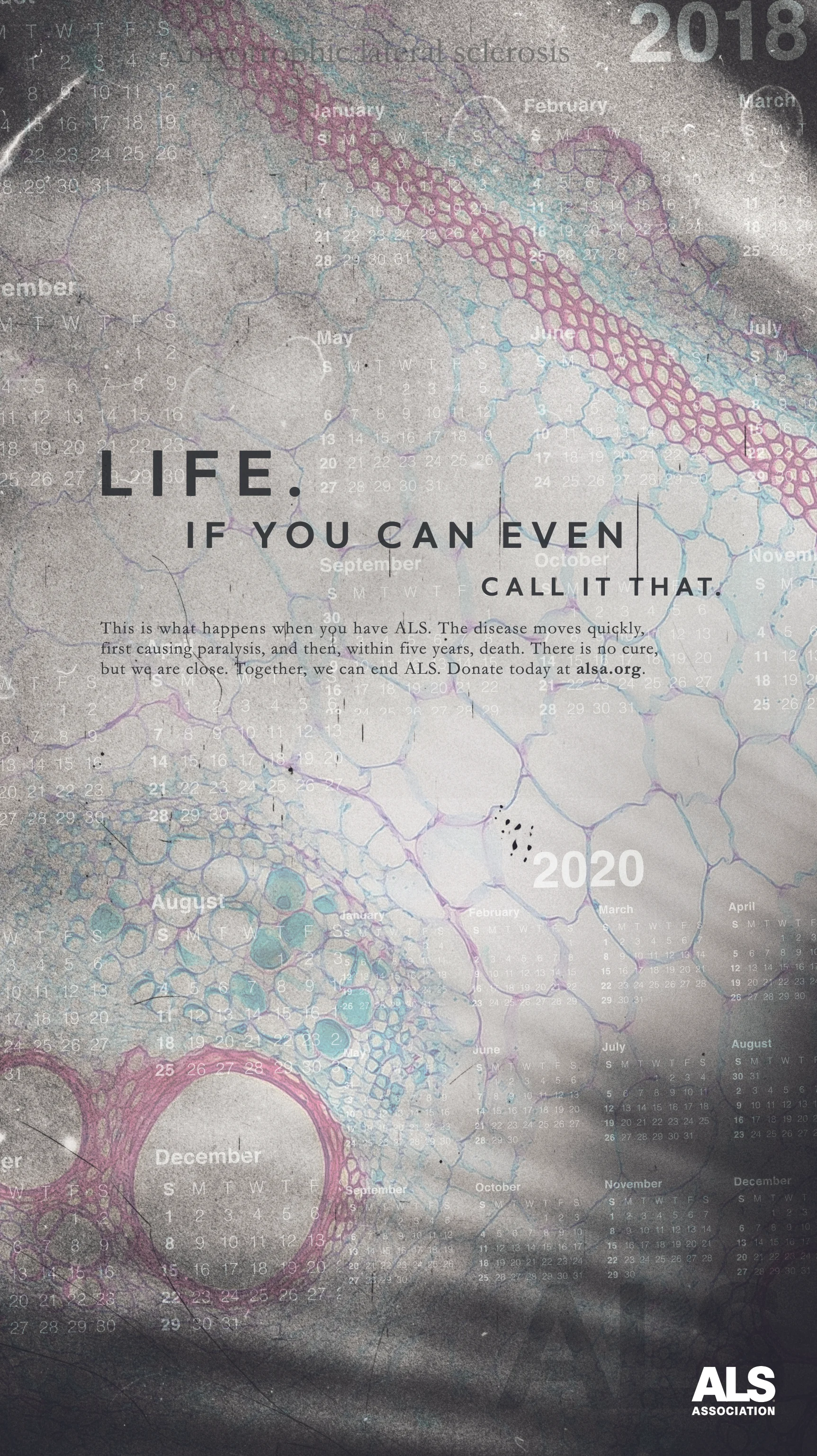 ALS_newspaper_half_pg_jpc_v403_cells_life.jpg