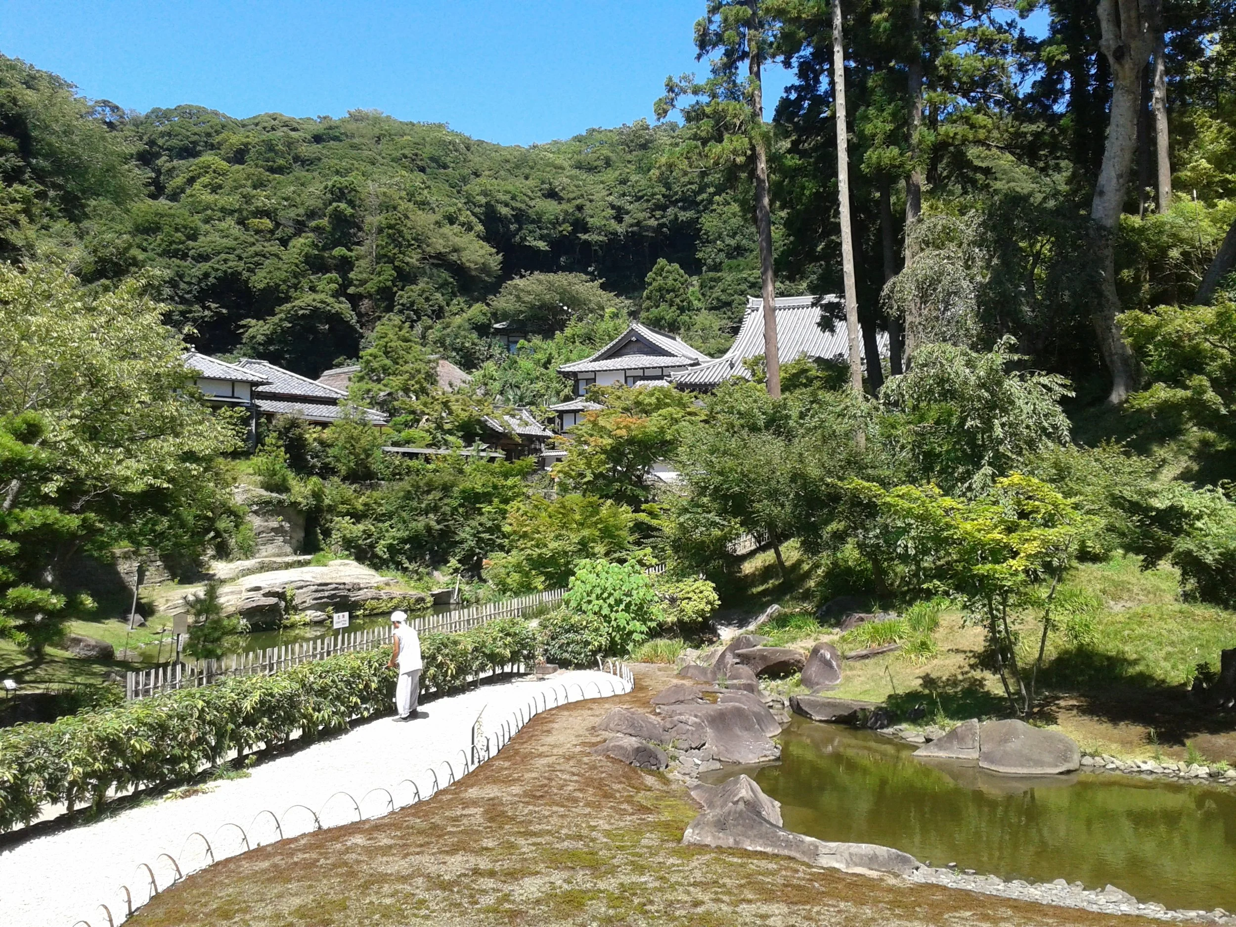 20150806_131625.jpg