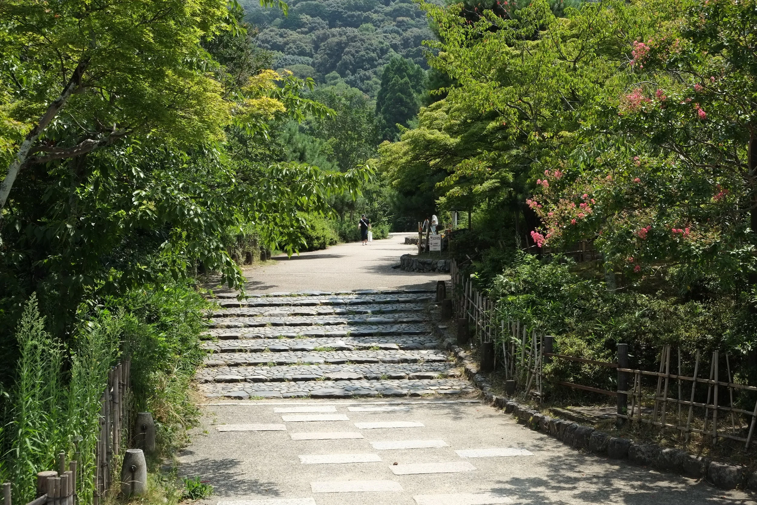 DSCF0294.jpg