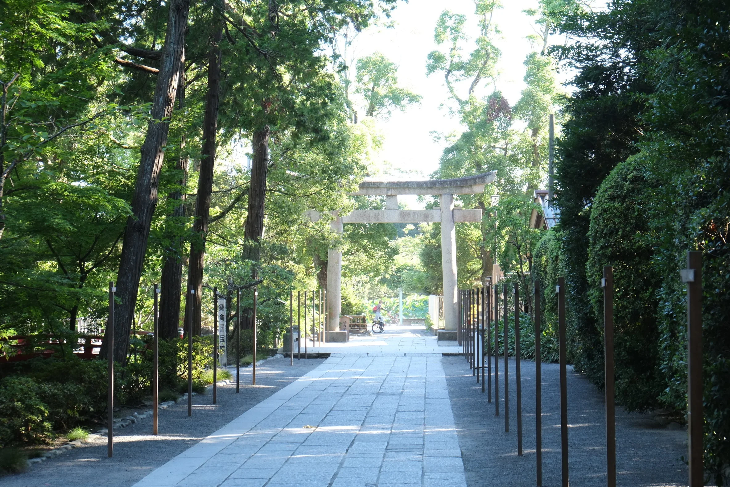 DSCF0247.jpg
