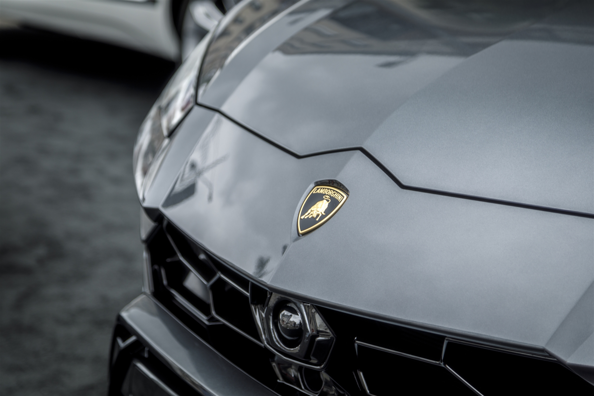 Urus_front.jpg