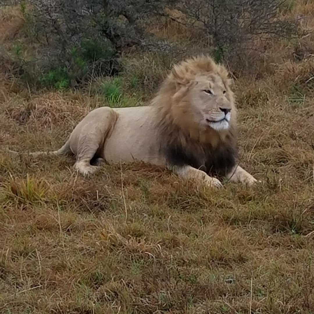 I Once Spent a Month in Africa