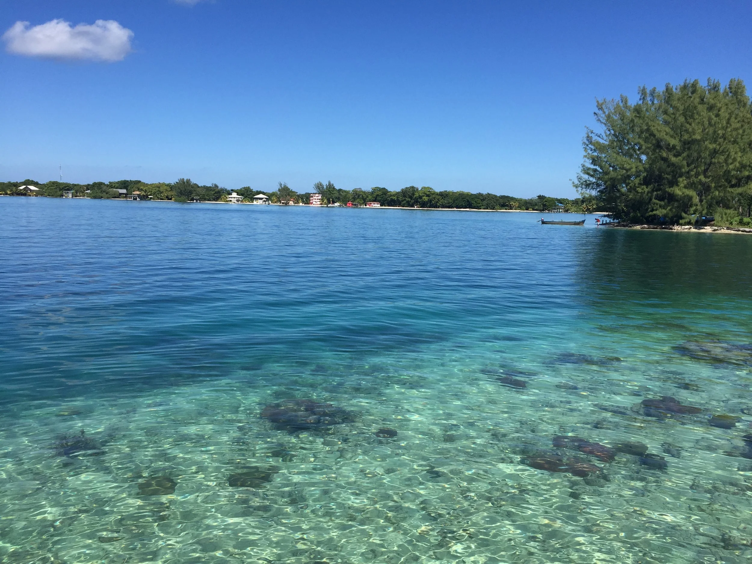 How to Overcome Fear