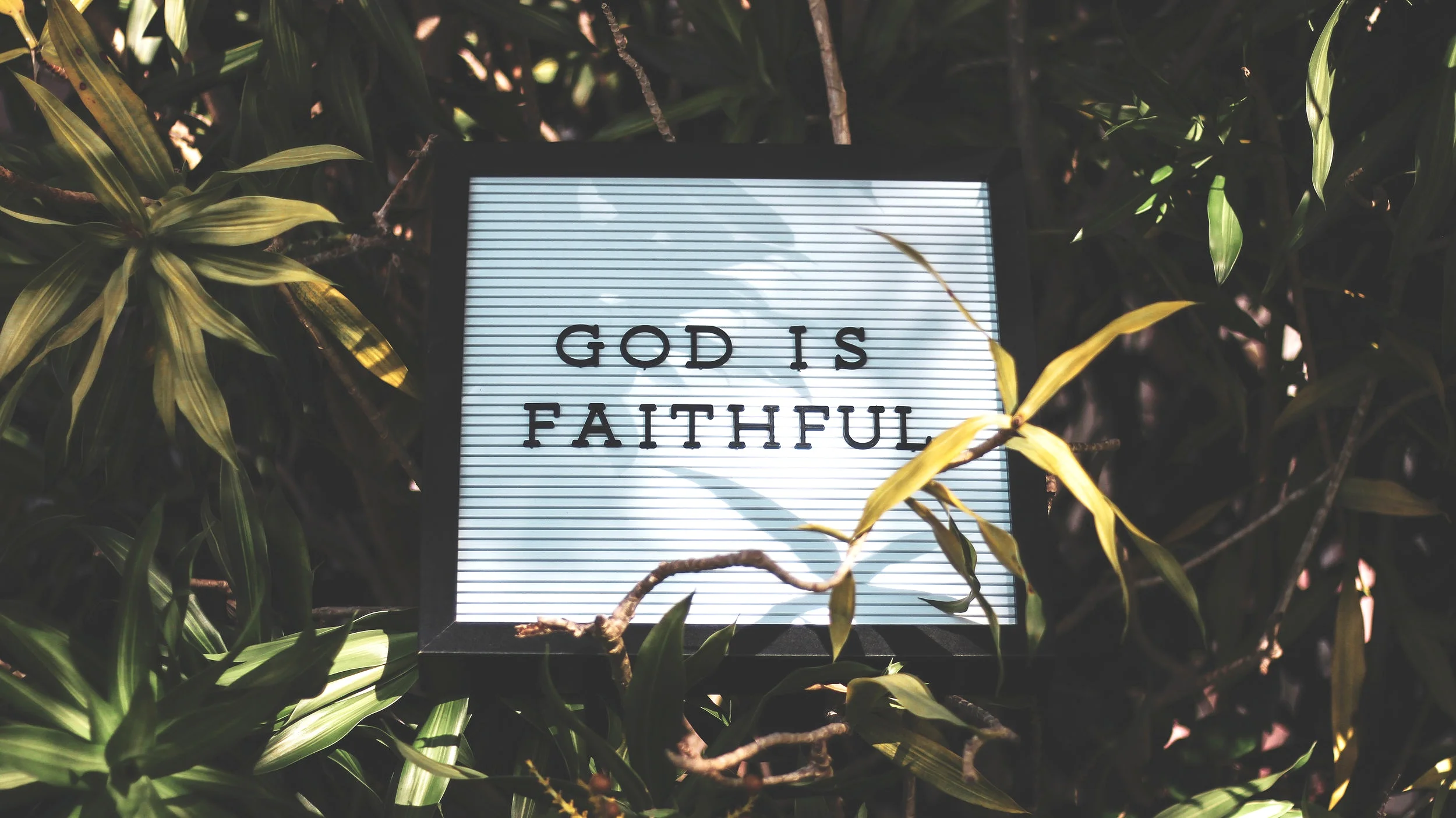 Palm Sunday: We're Almost There