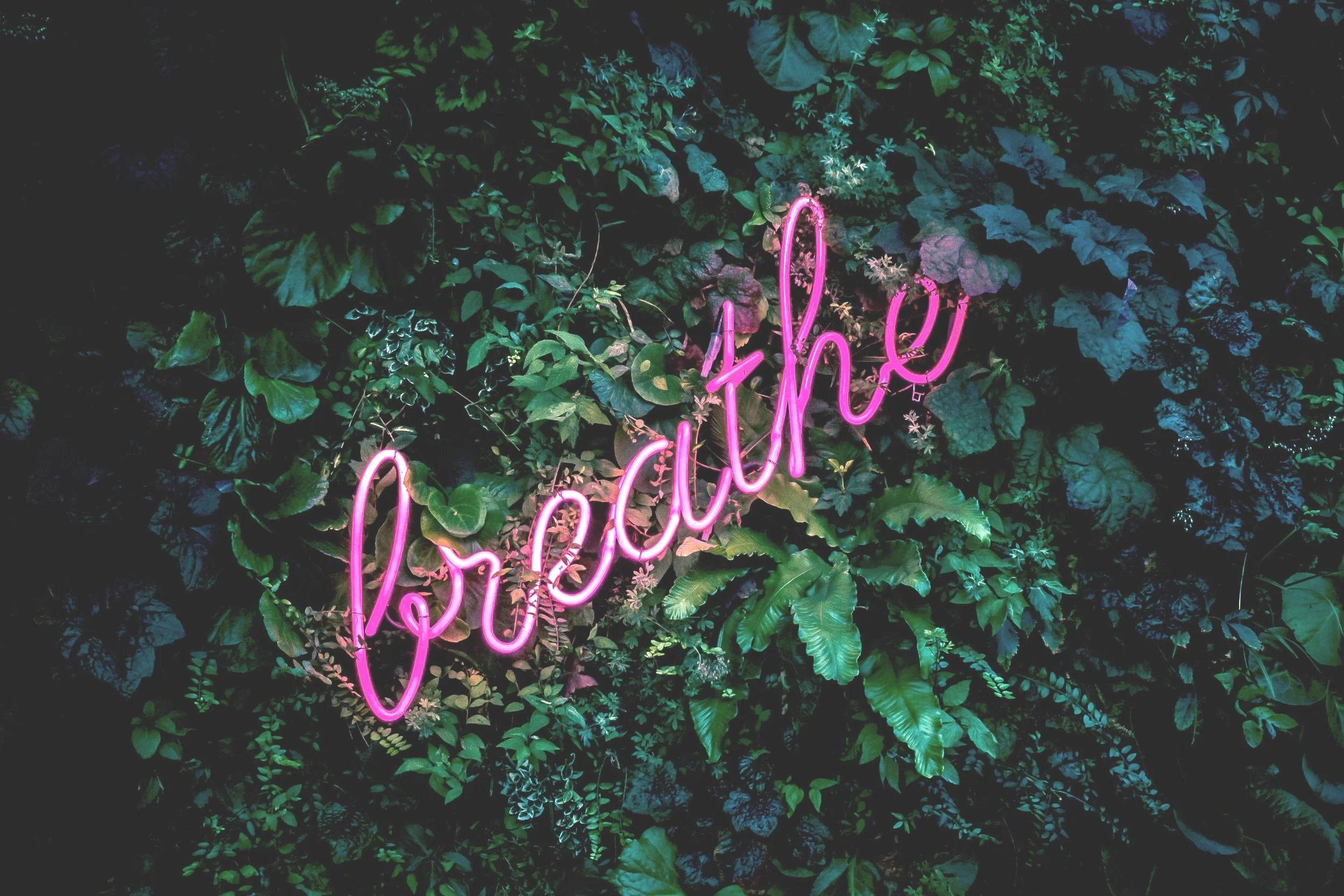 Dealing with Infertility Triggers