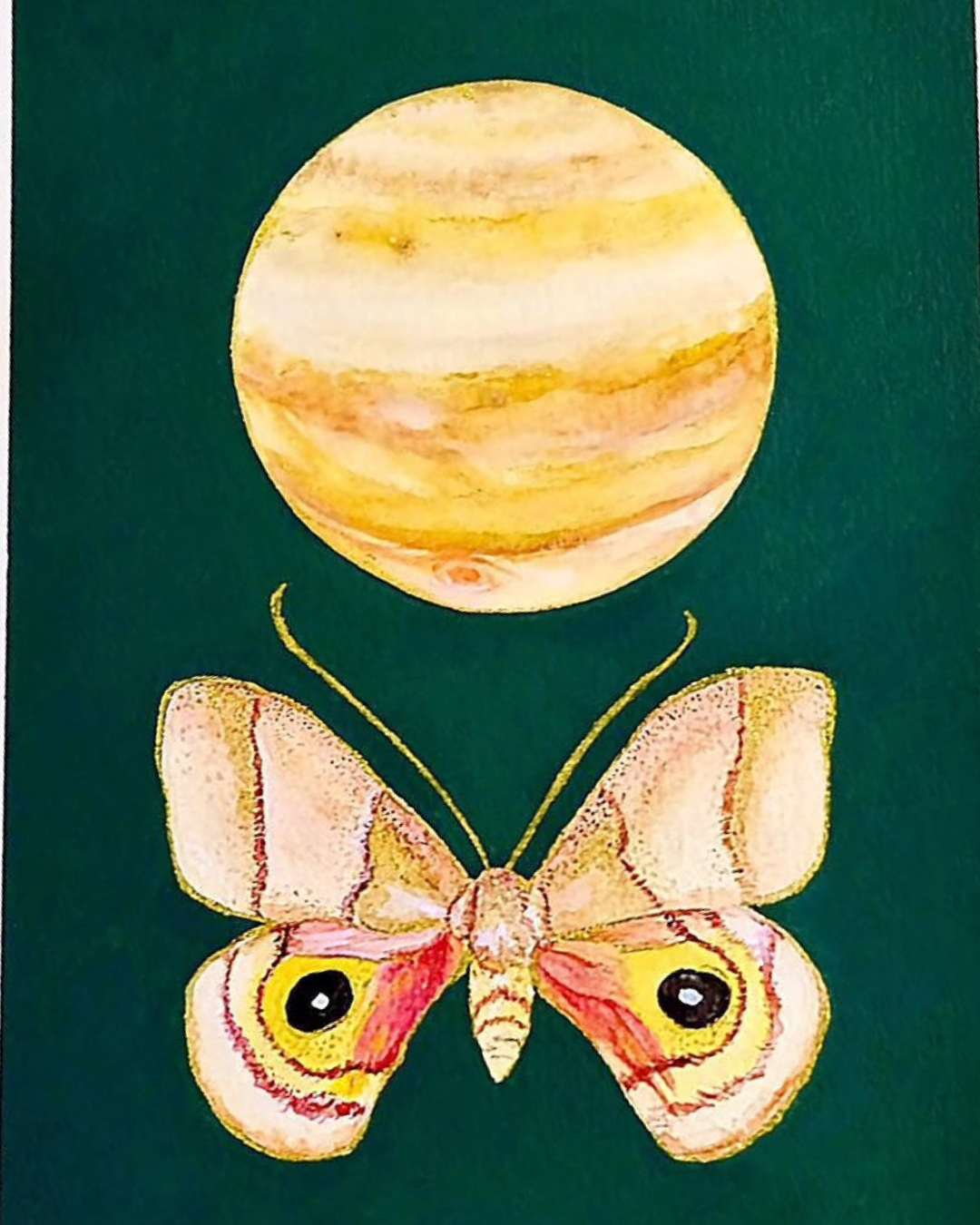 Saturn Moth