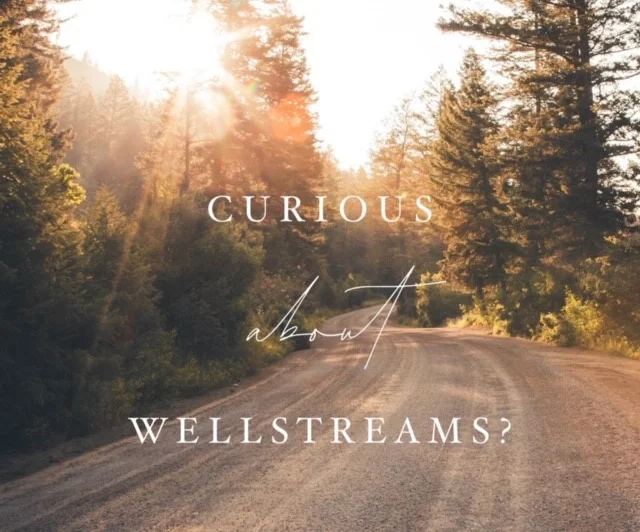 Information Sessions for Wellstreams