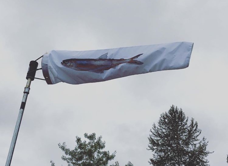 Art Interruptions 2017