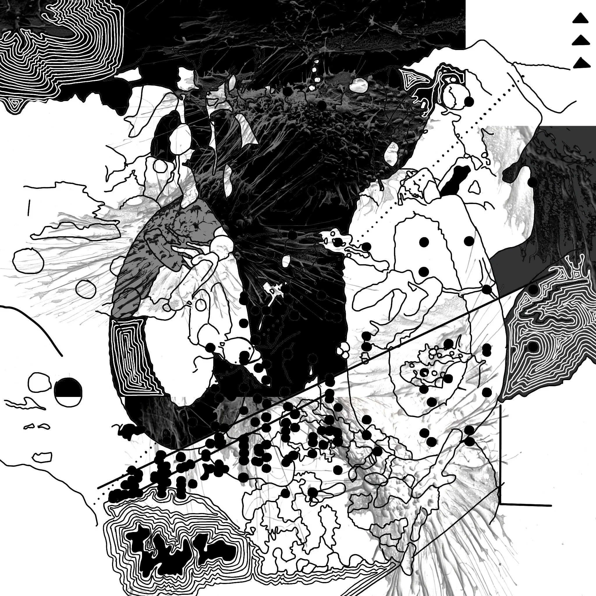 Excerpt From Cell Collision 