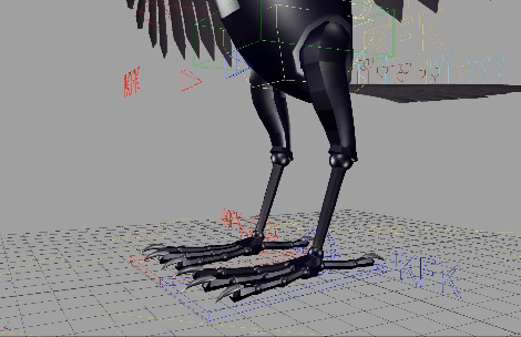  Reverse foot and hind leg showcase. 