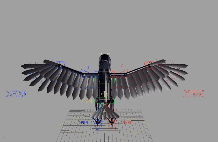  Feathers and wings setup. A combination of FK joints and follicles was used to rig the feathers. 