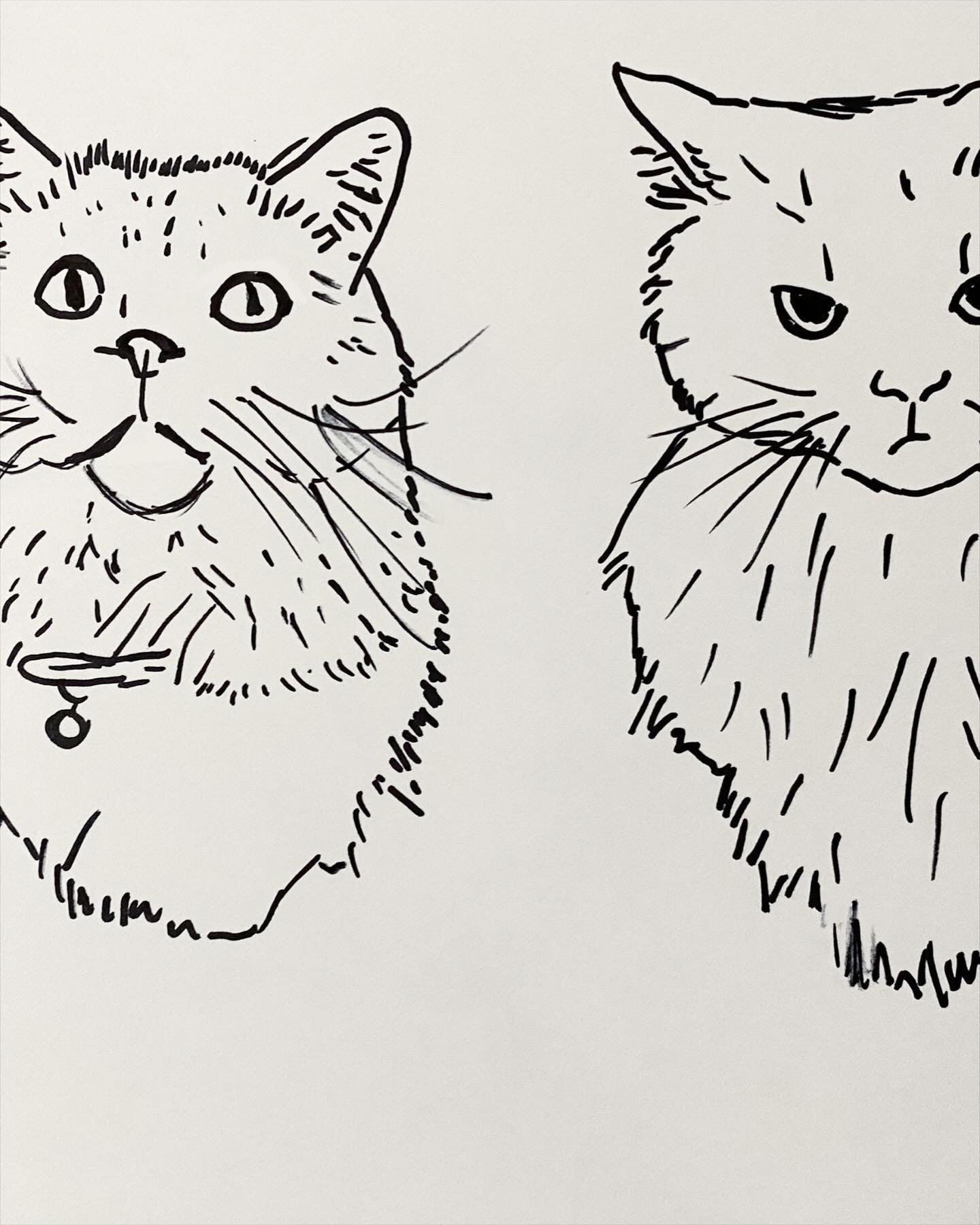 Loved turning this sketch into fun gifts! Pinky &amp; Simon made purrfect models (even though Simon seems mad 😂) 🛍️😻🎀🐈🩷🖊️