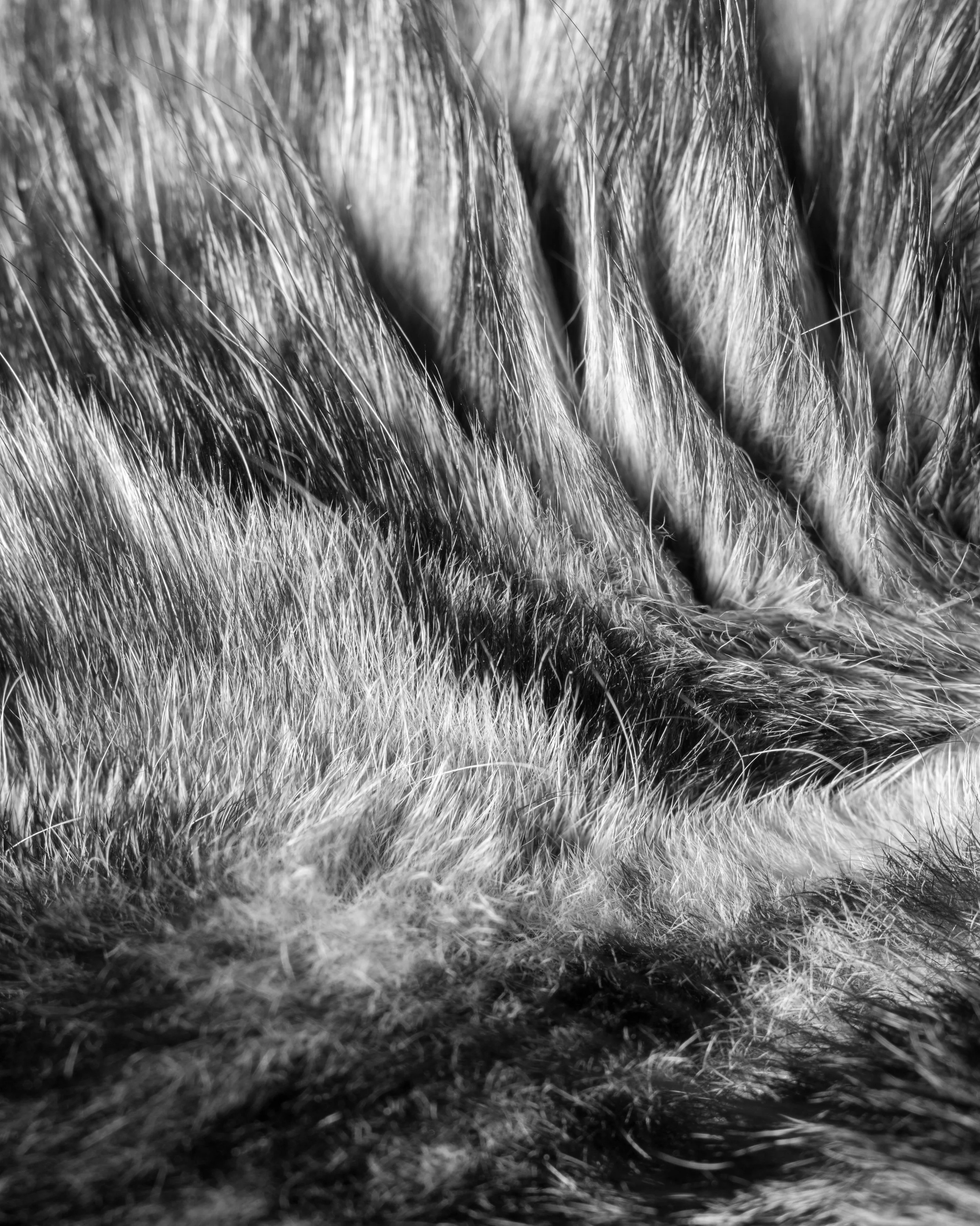 _DSC1308.jpg
