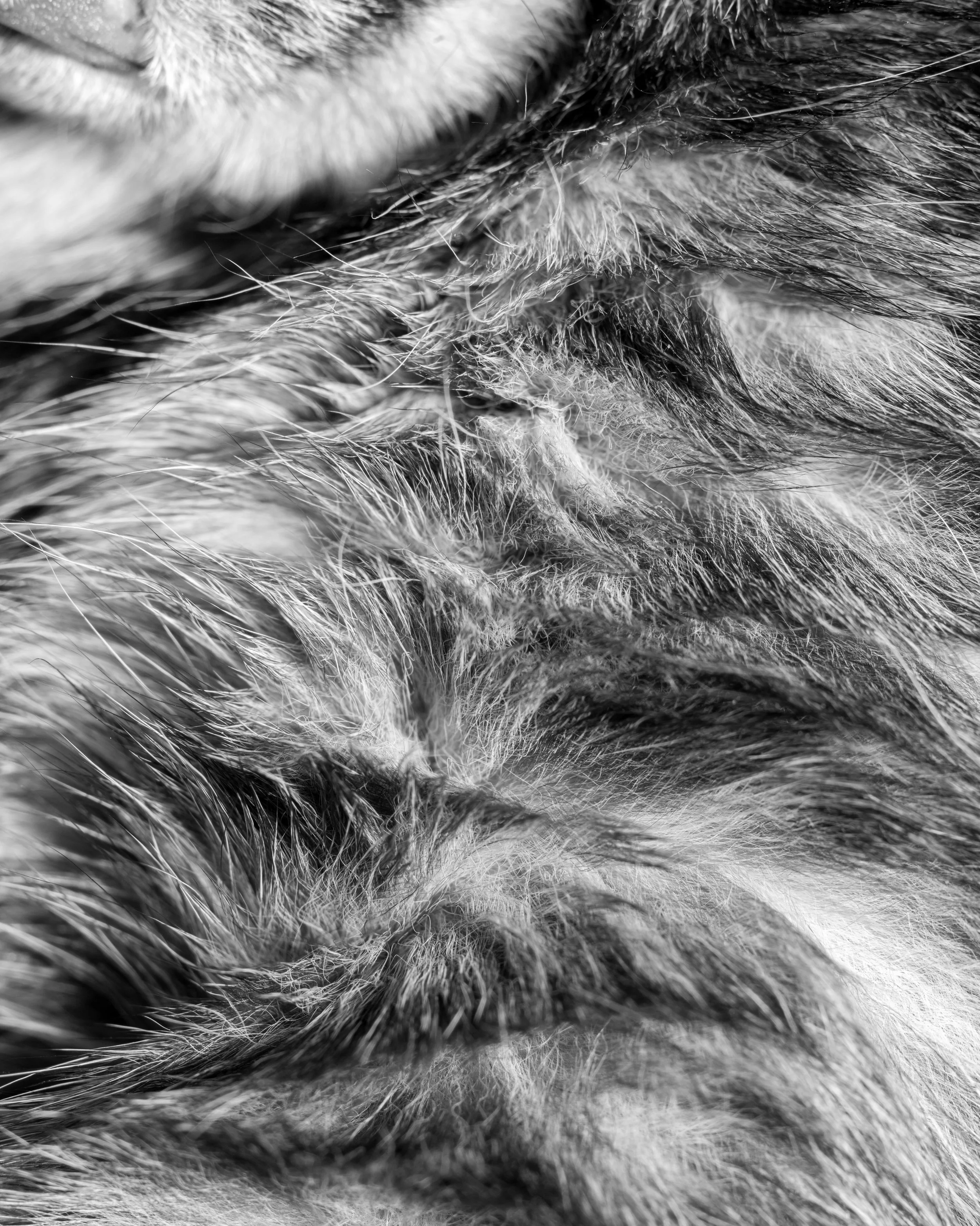 _DSC1314.jpg
