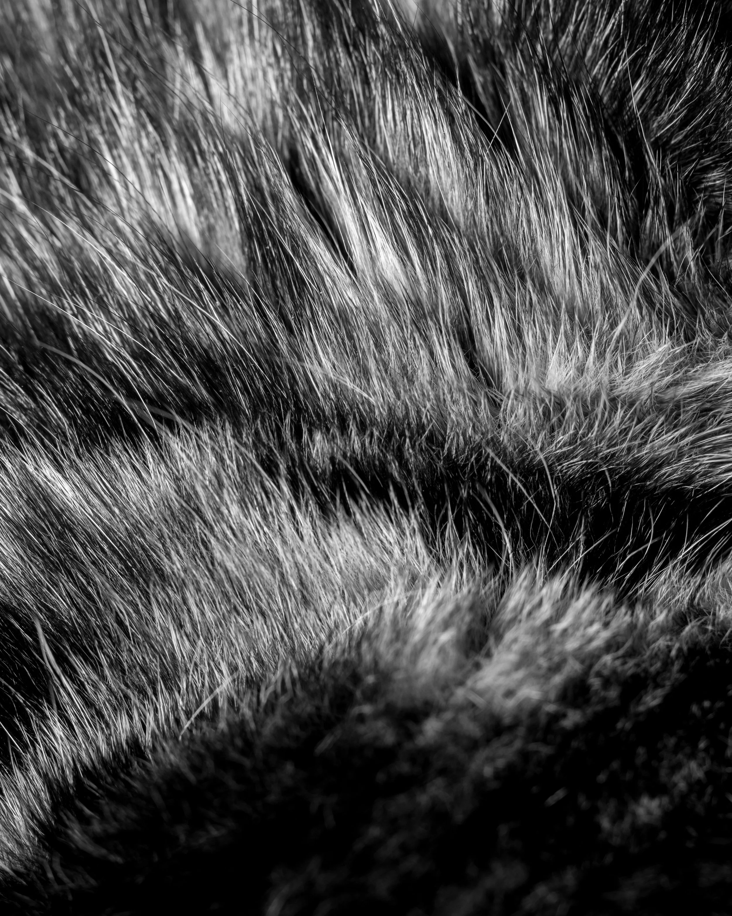 _DSC1319.jpg
