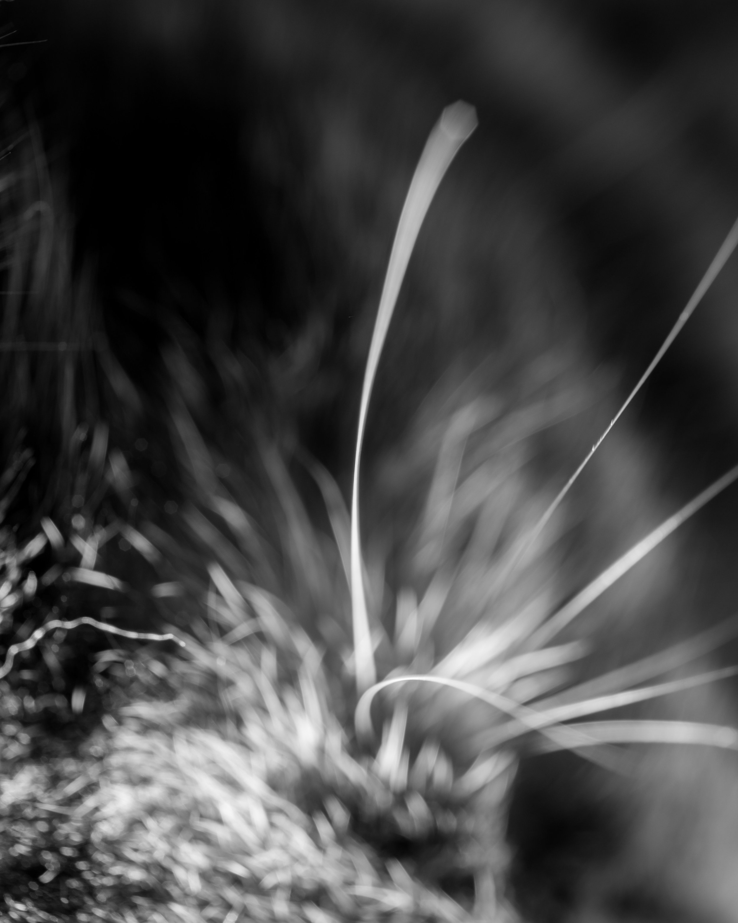 DSC_0355.jpg