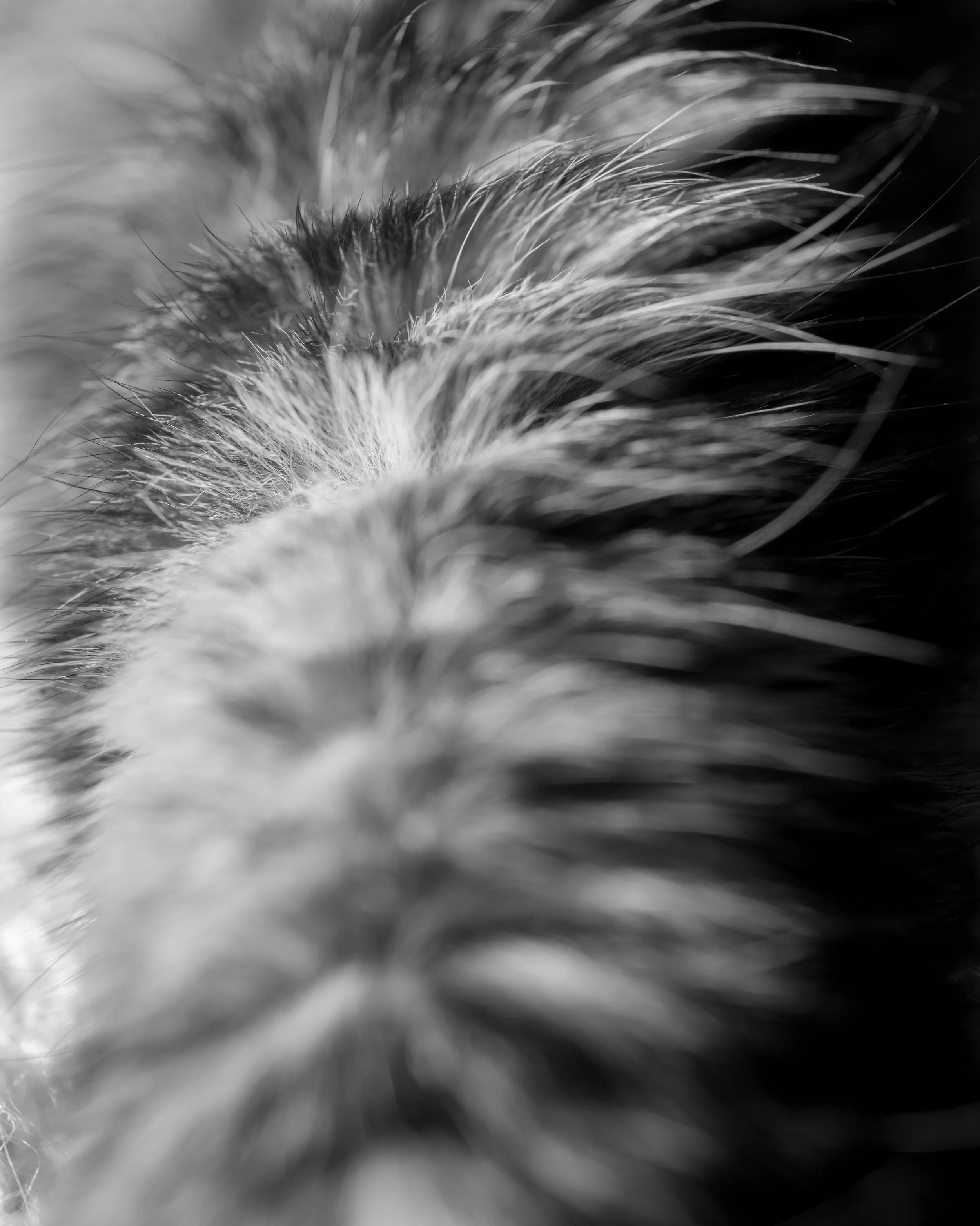DSC_0363.jpg